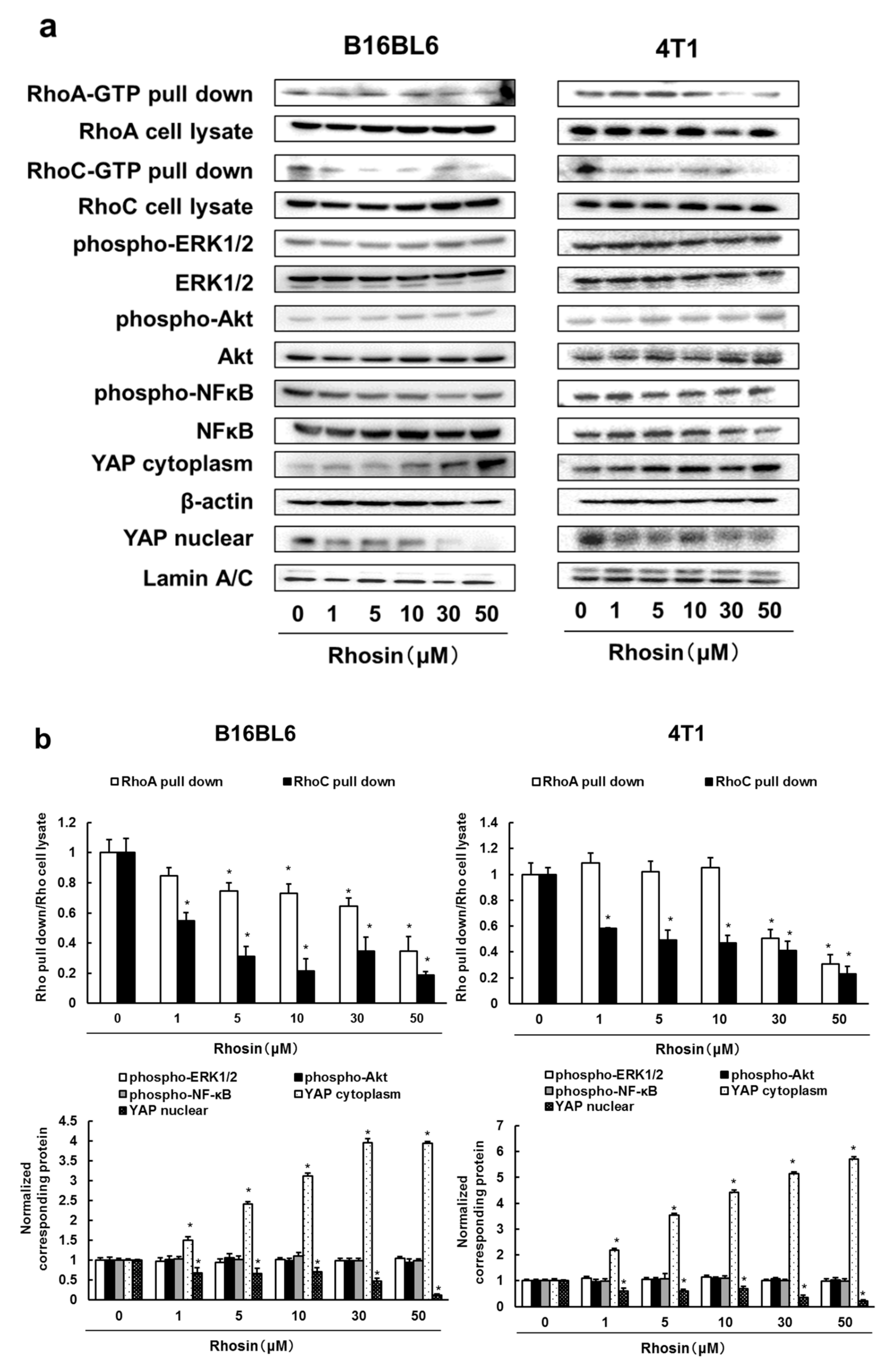 Biomedicines 09 00035 g002a