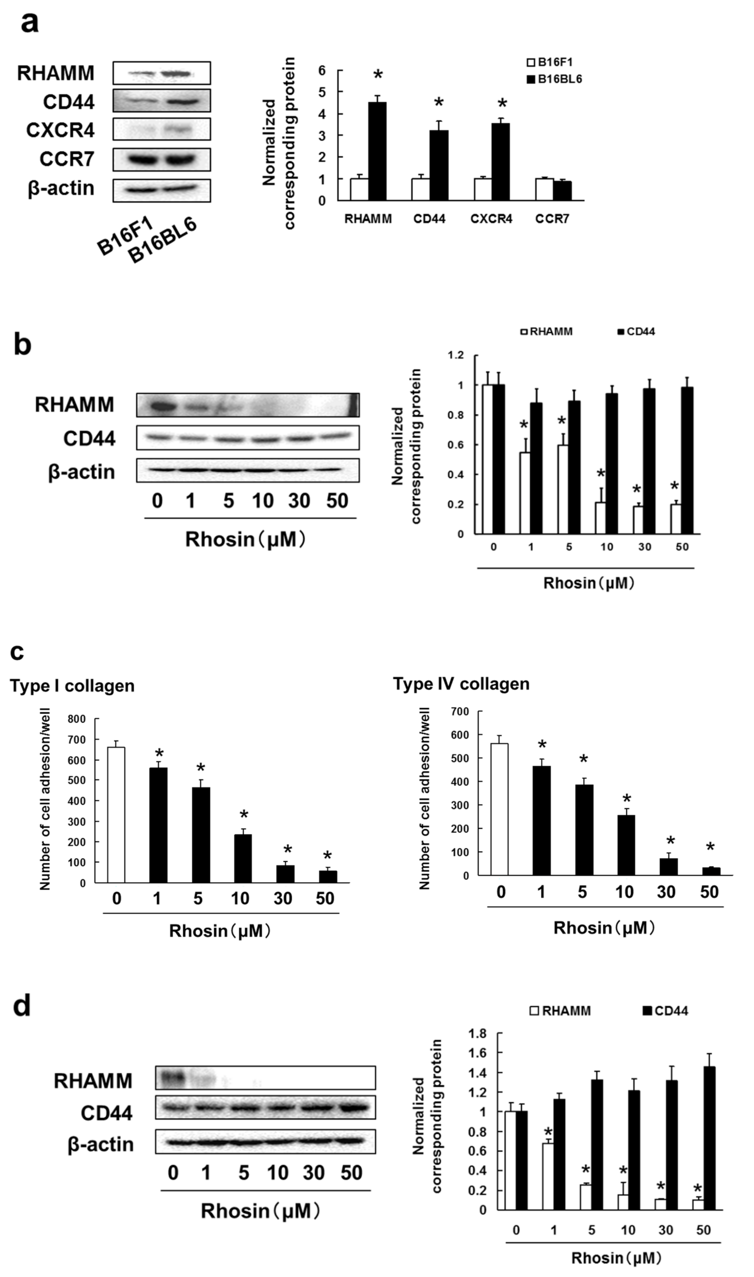 Biomedicines 09 00035 g004a
