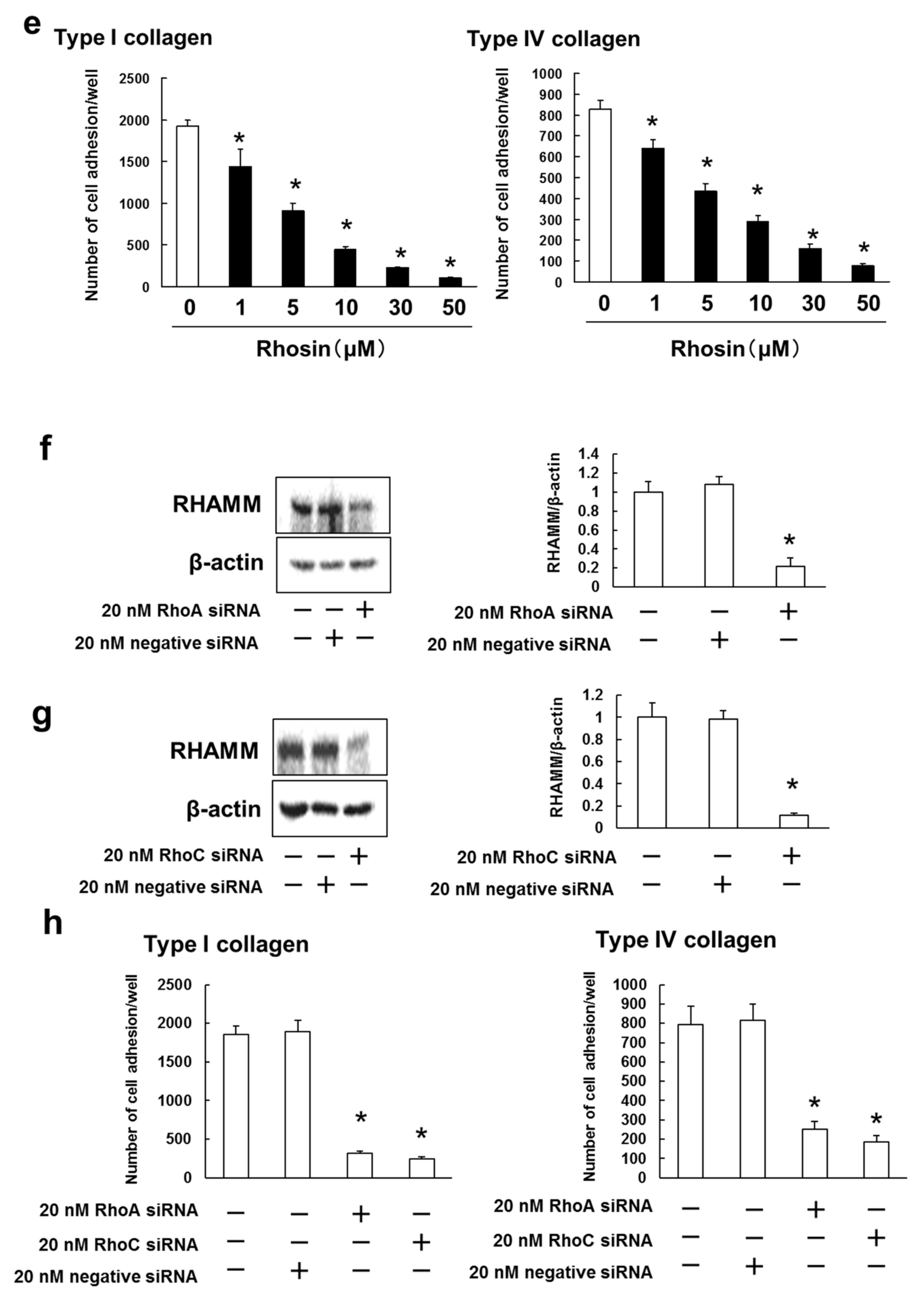 Biomedicines 09 00035 g004b