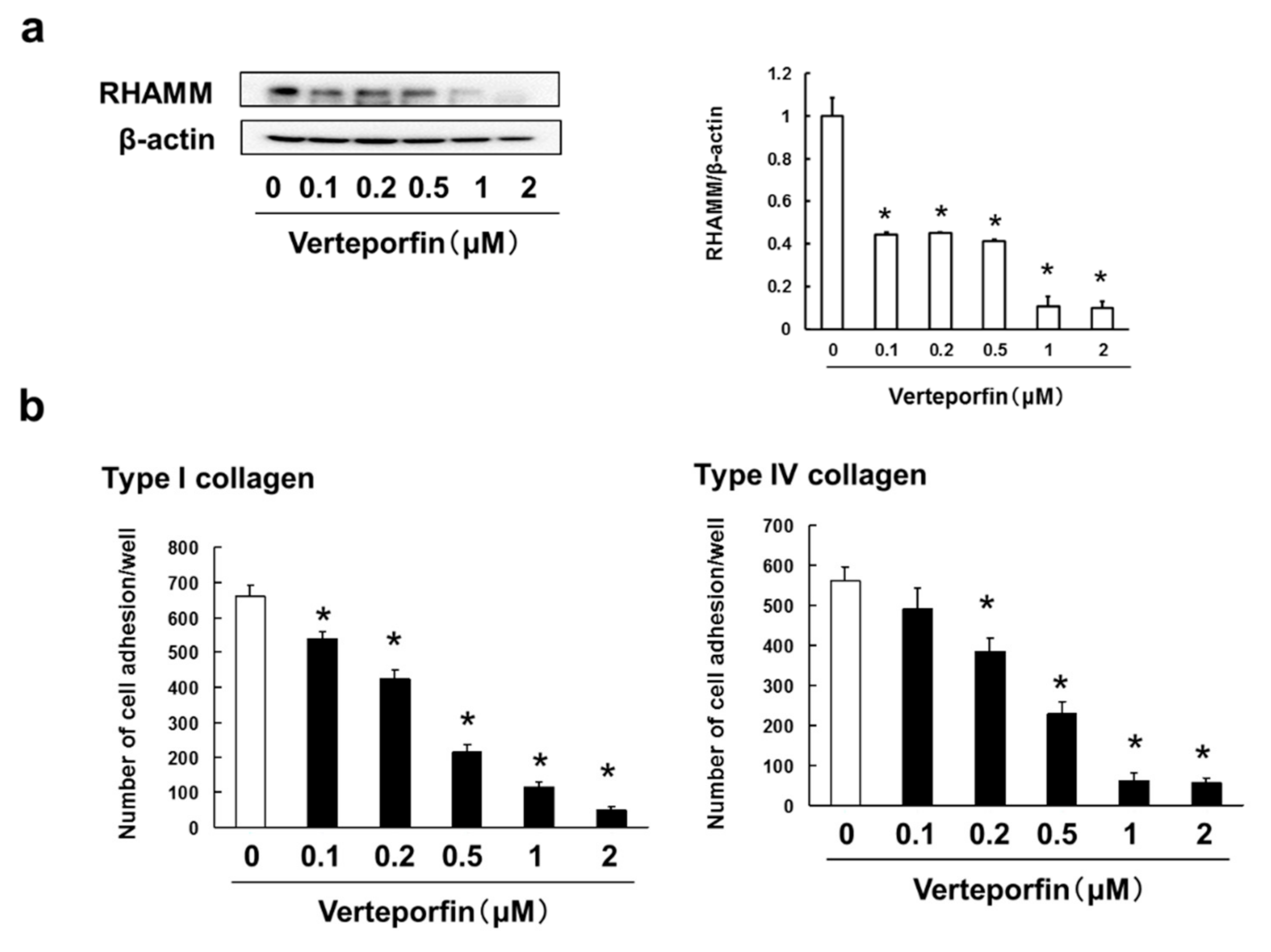 Biomedicines 09 00035 g006a