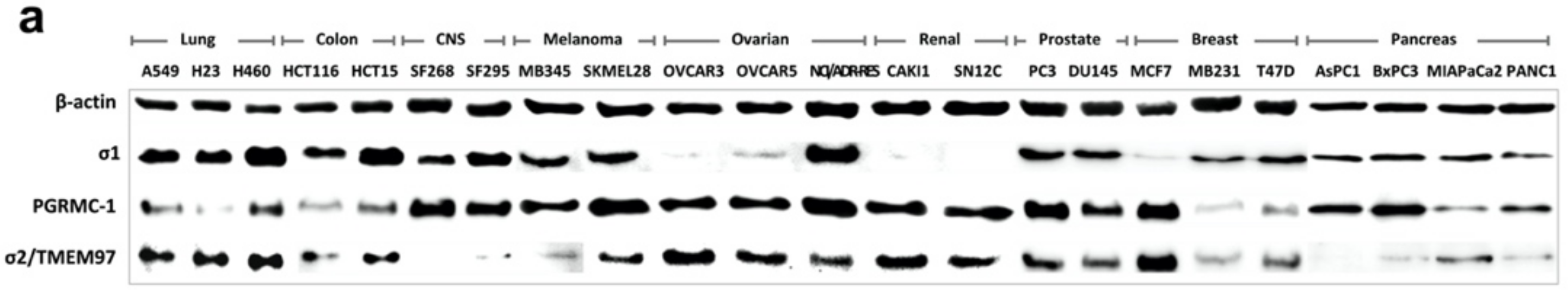 Biomedicines 09 00038 g001a
