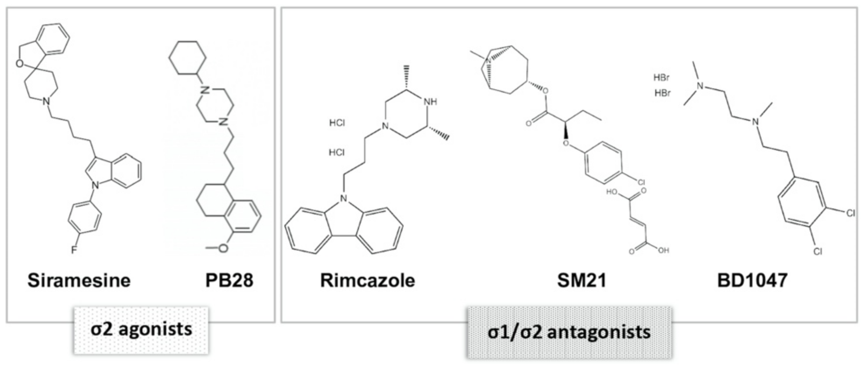 Biomedicines 09 00038 g002