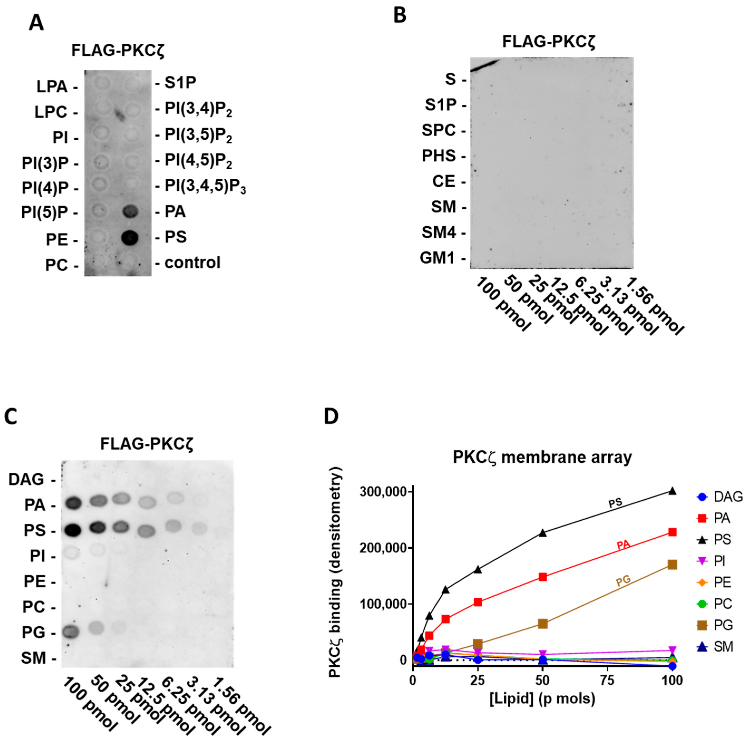 Biomedicines 09 00045 g001