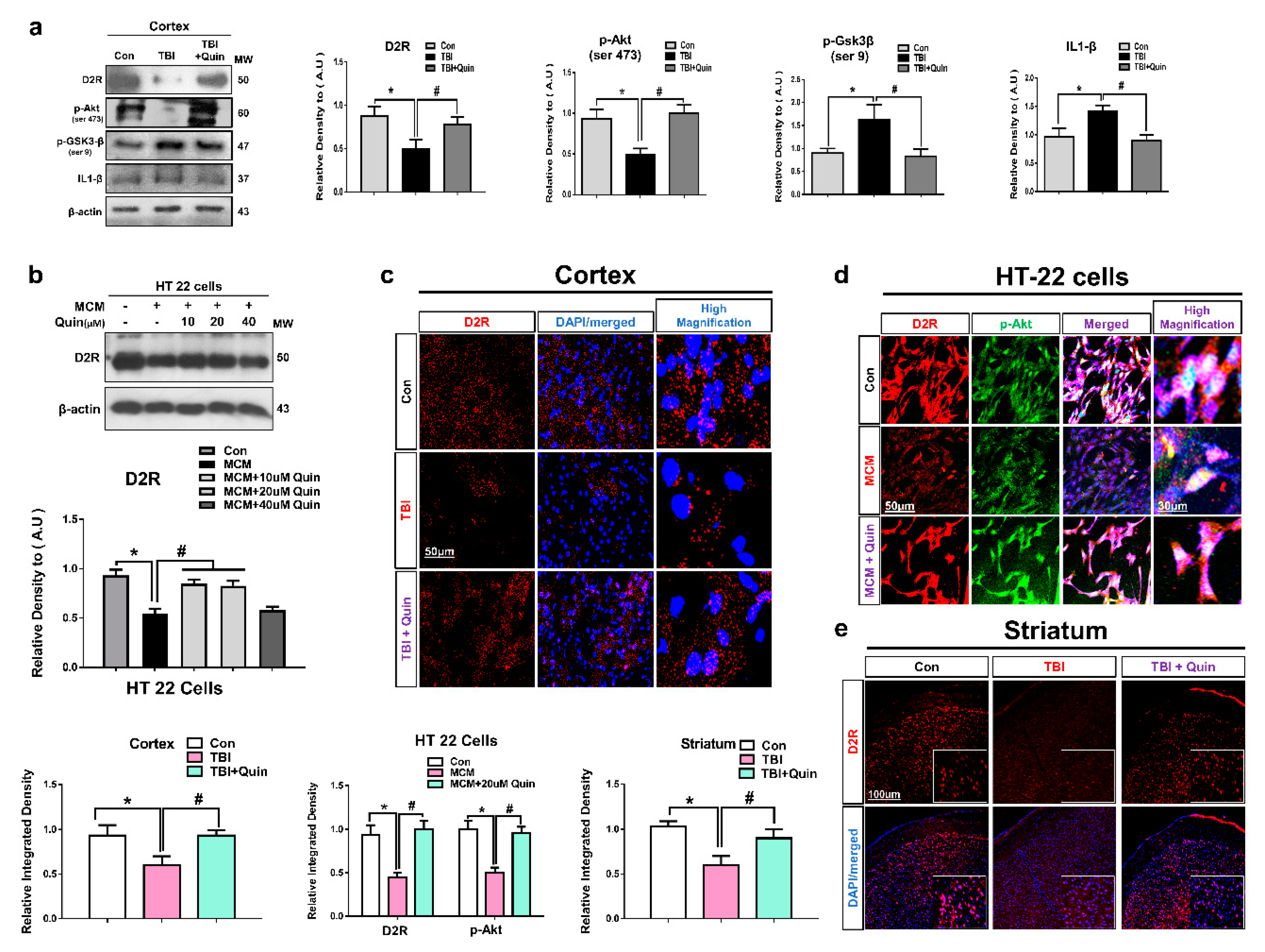 Biomedicines 09 00047 g001
