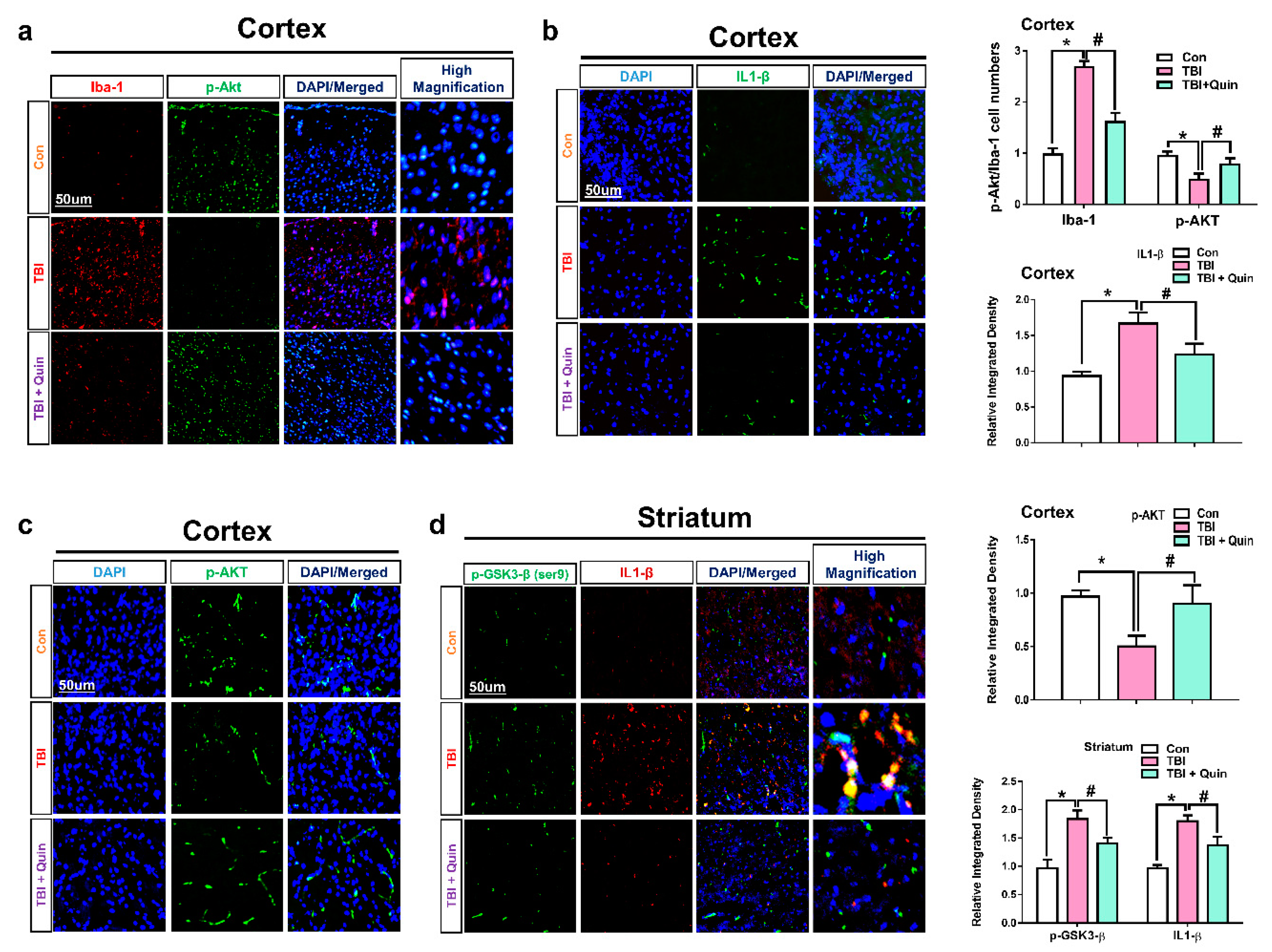 Biomedicines 09 00047 g002