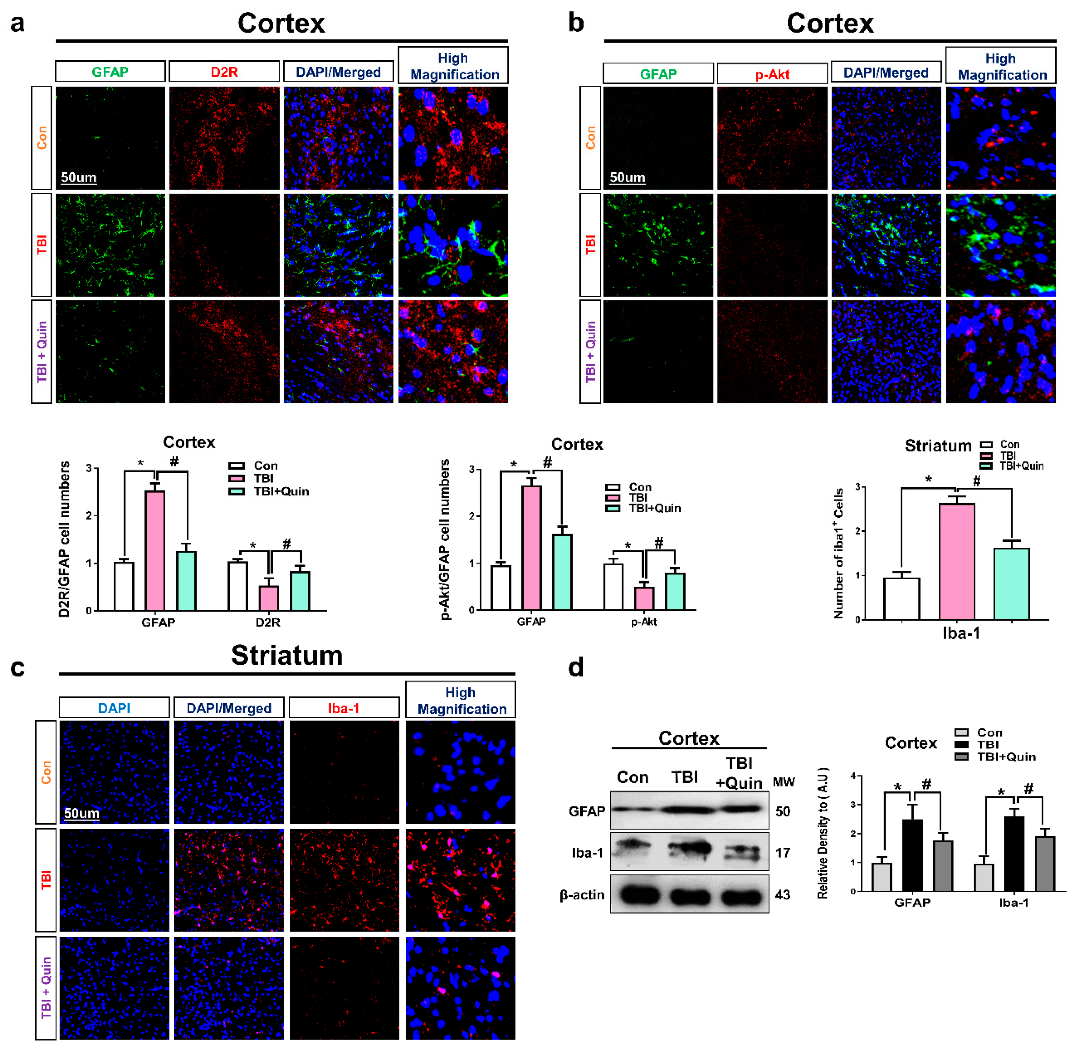 Biomedicines 09 00047 g003
