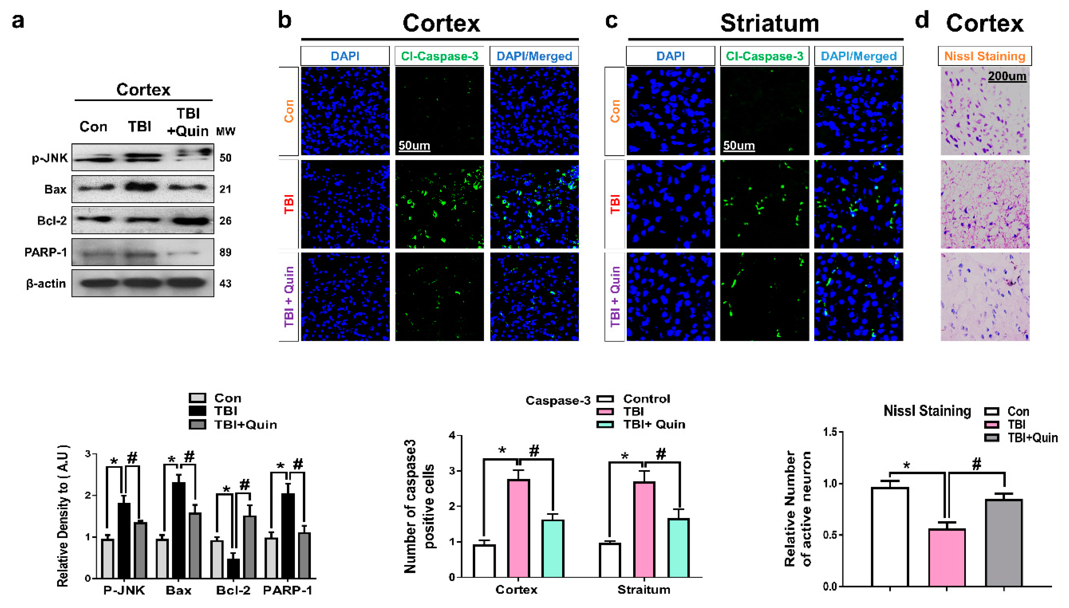 Biomedicines 09 00047 g004
