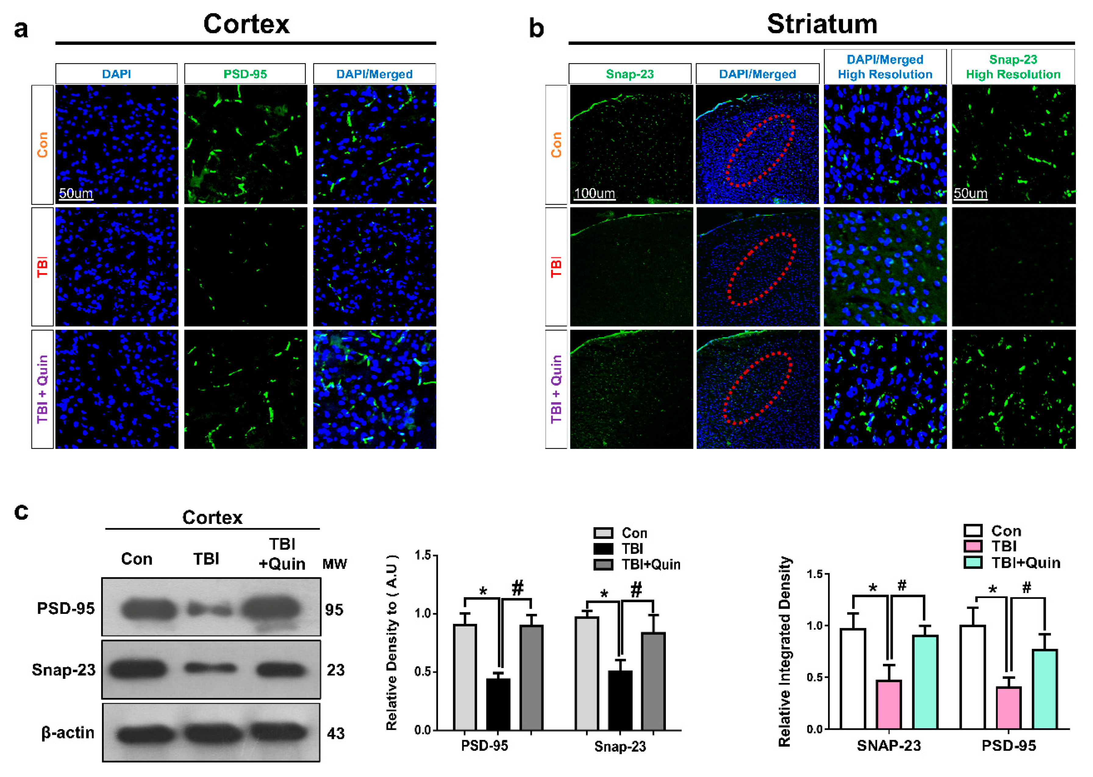 Biomedicines 09 00047 g006
