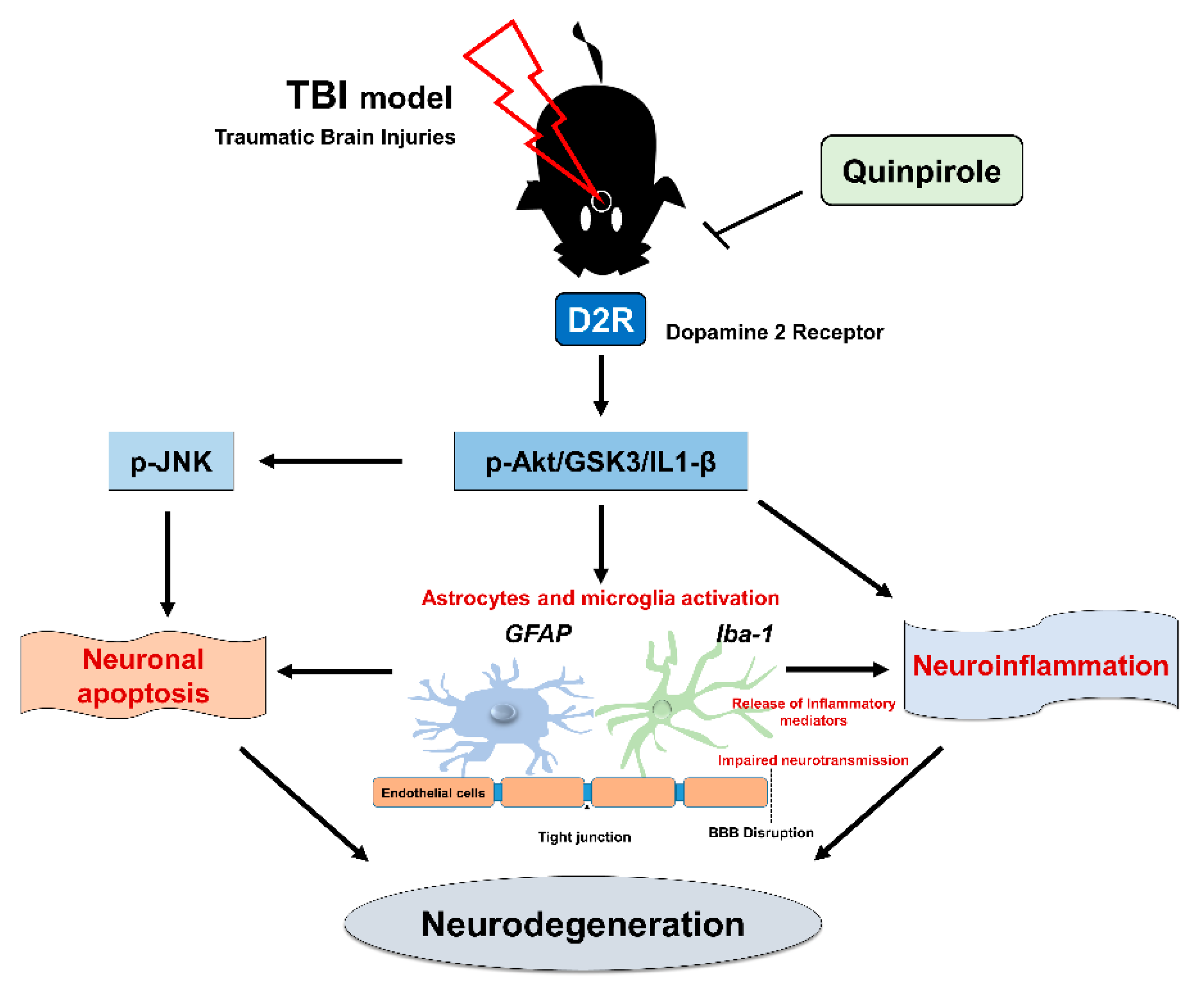 Biomedicines 09 00047 g007