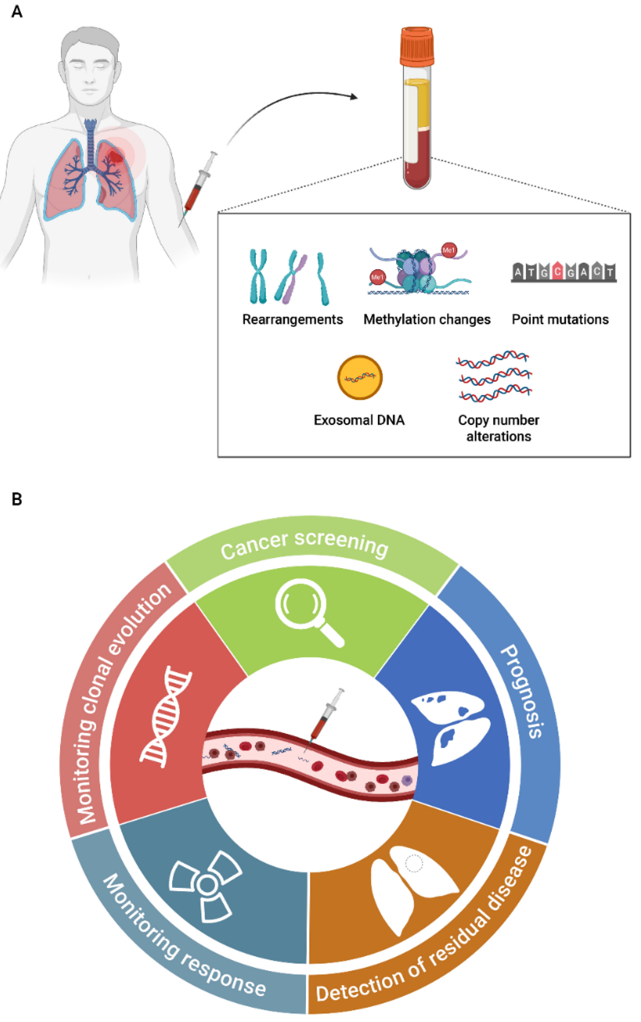 Biomedicines 09 00048 g002
