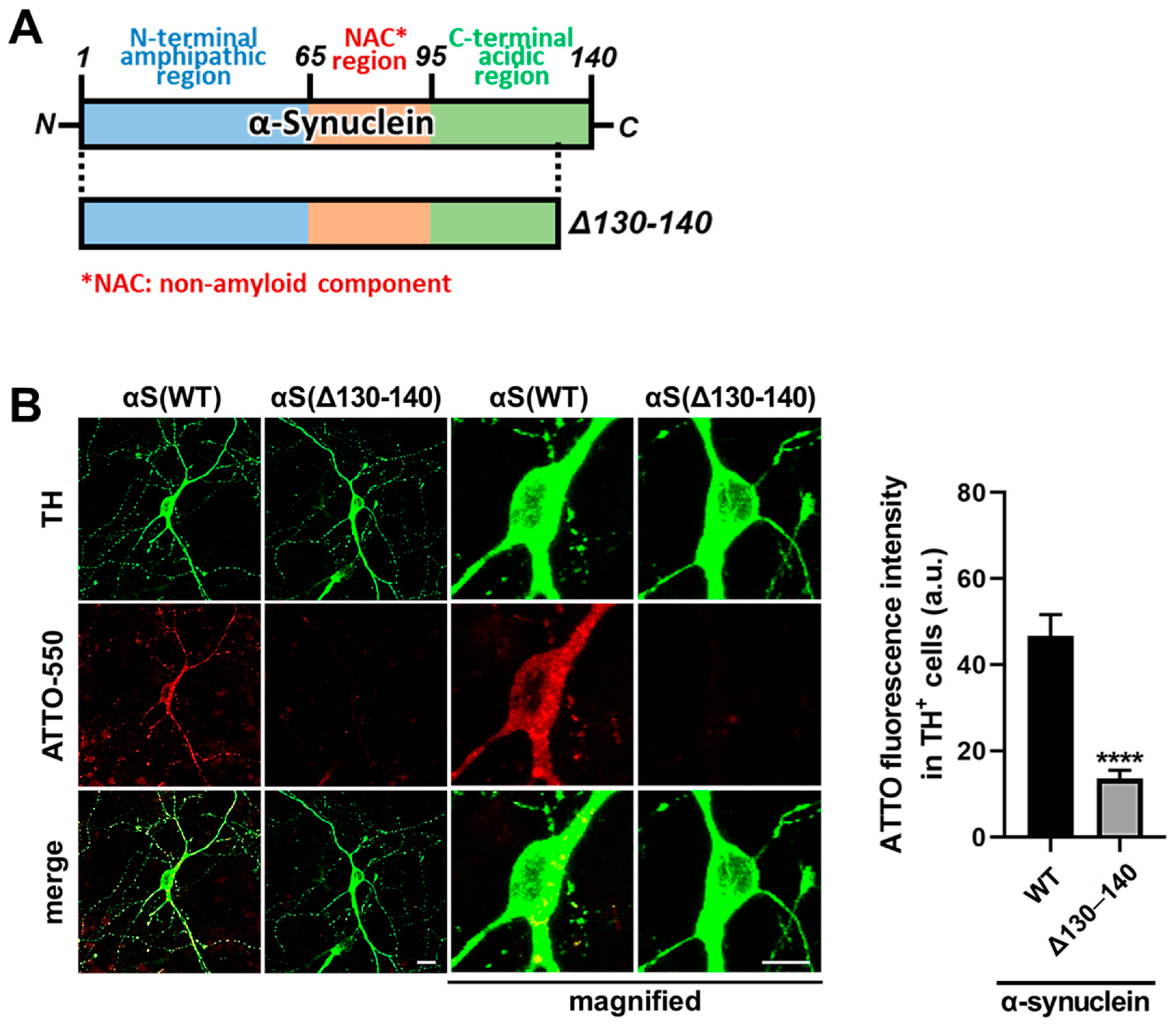 Biomedicines 09 00049 g004