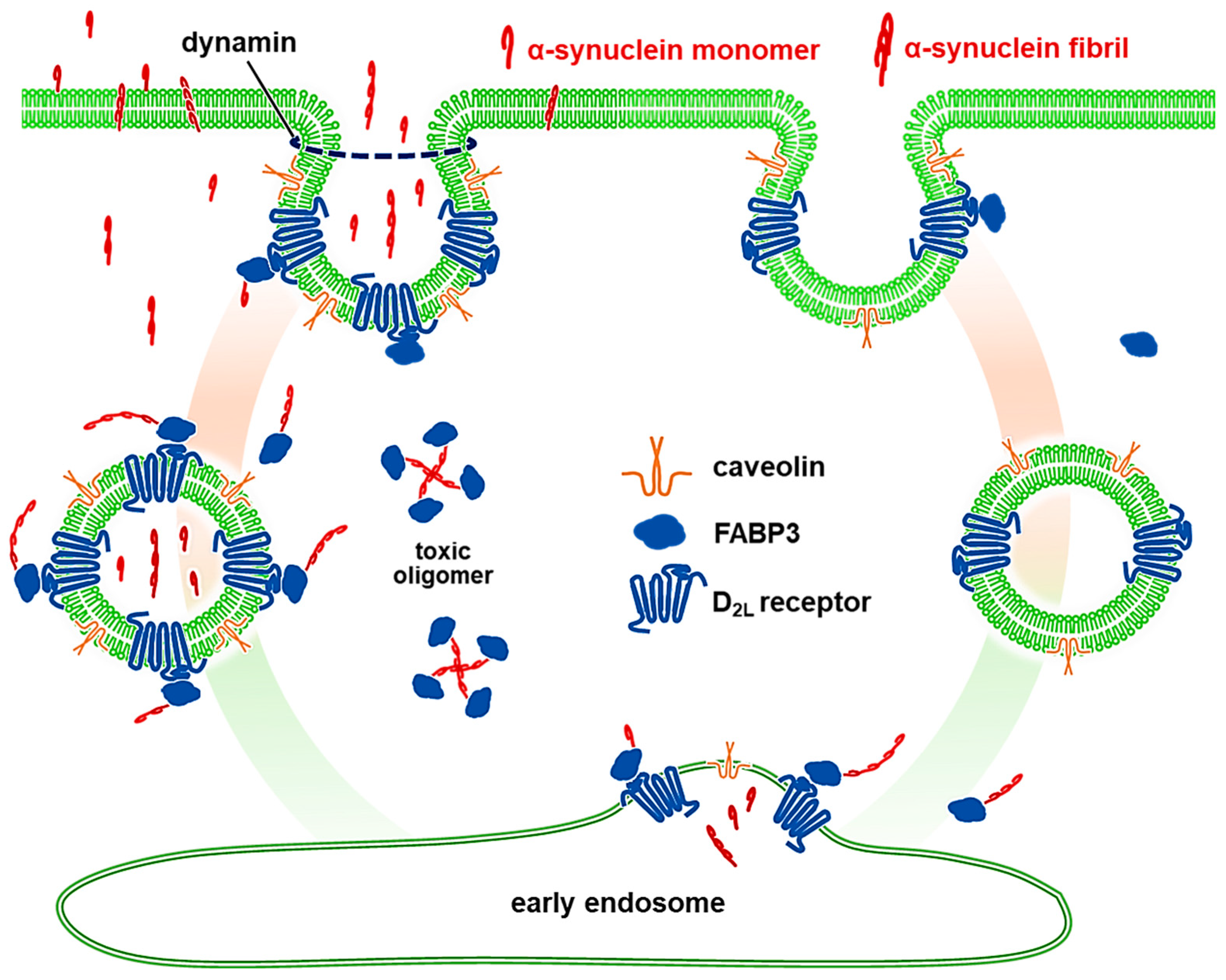 Biomedicines 09 00049 g008