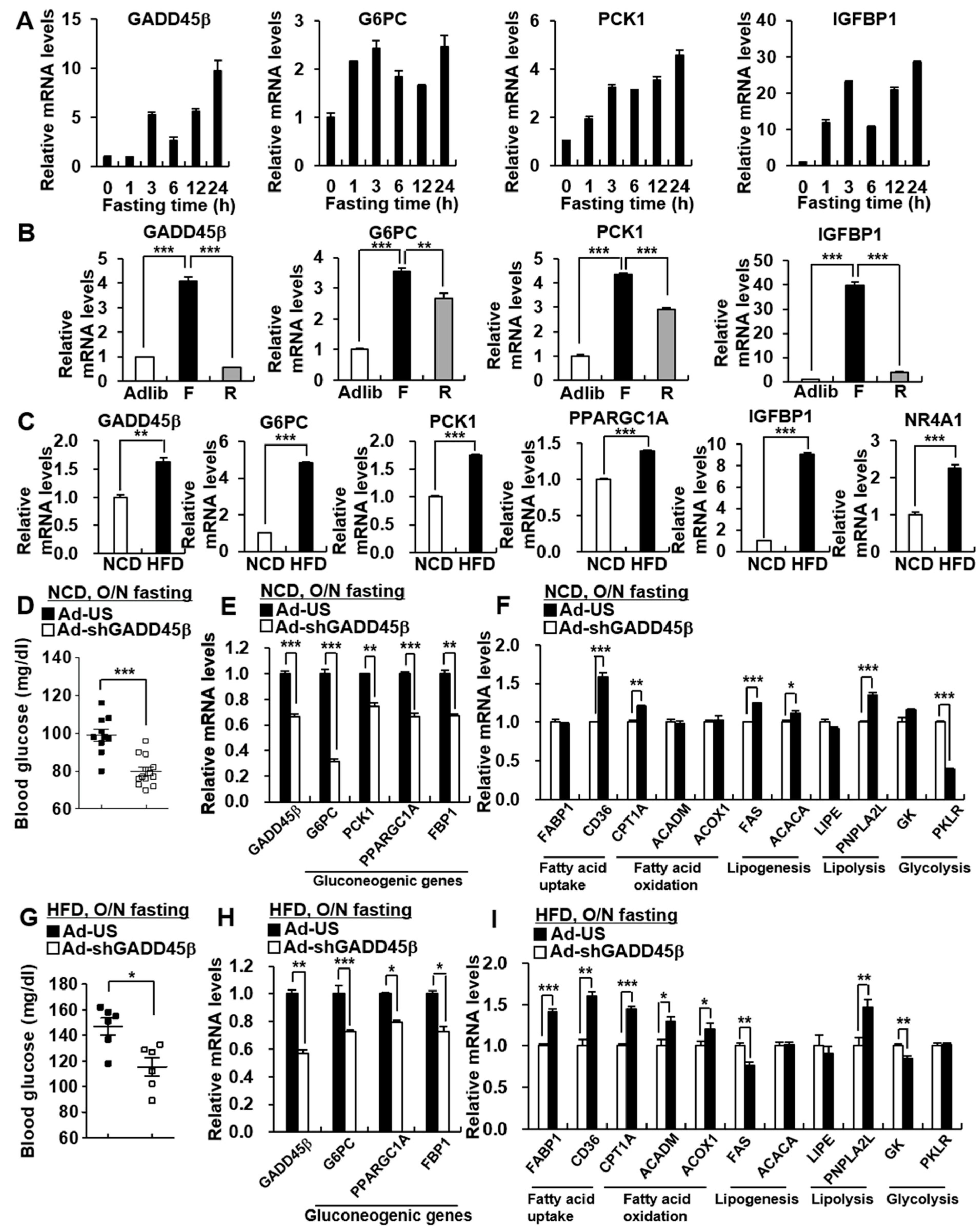 Biomedicines 09 00050 g001 Biomedicines 09 00050 g001