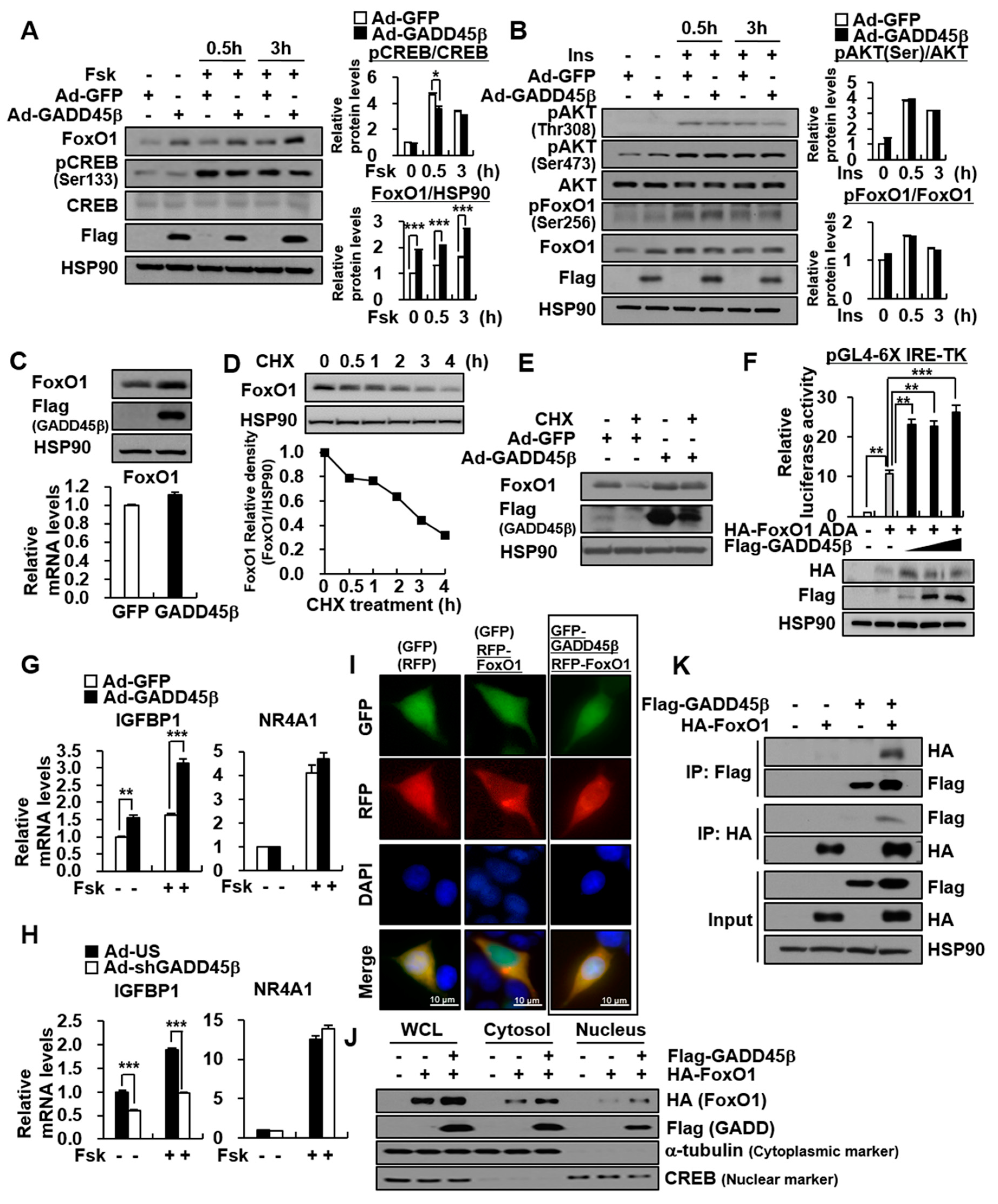 Biomedicines 09 00050 g003 Biomedicines 09 00050 g003