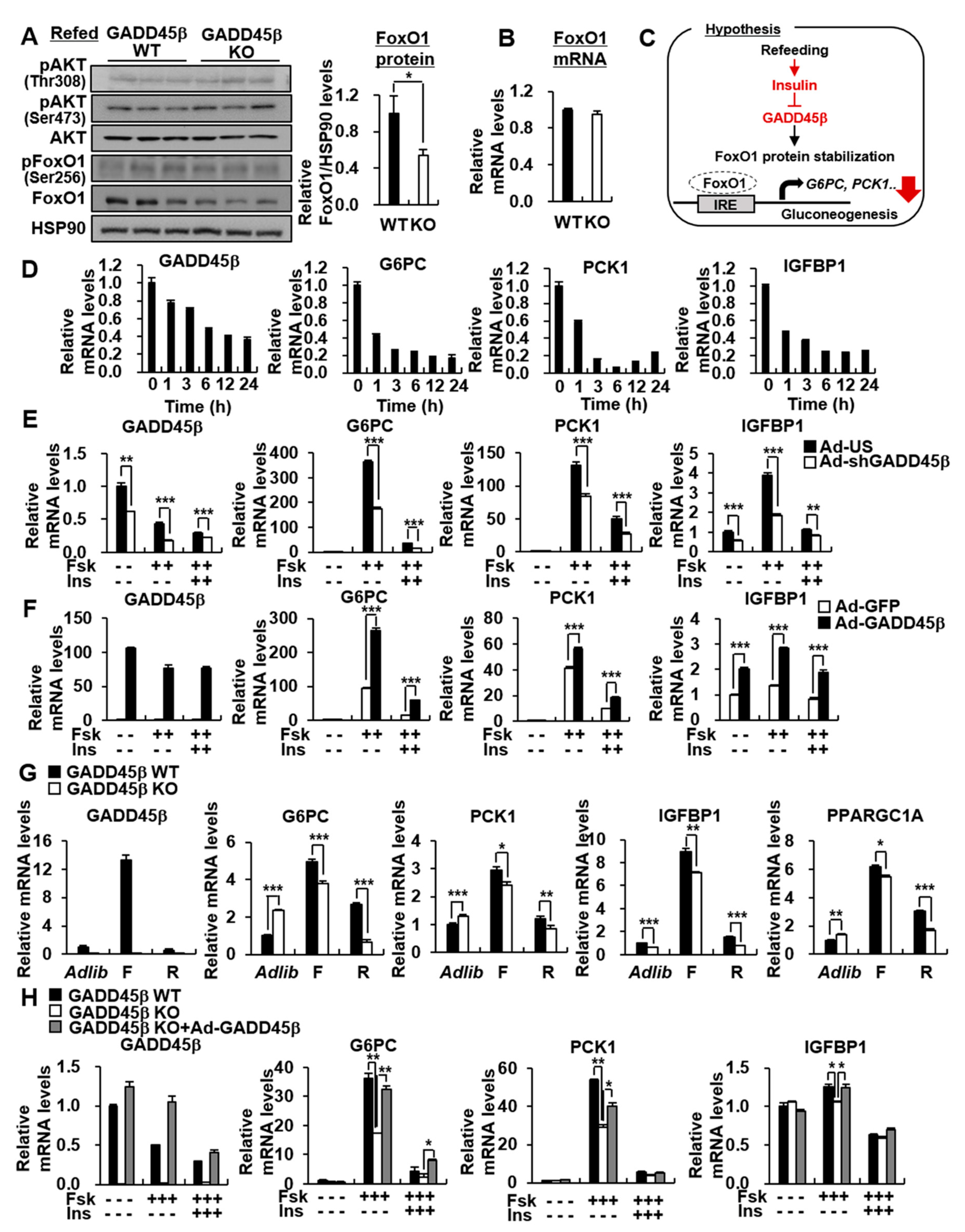 Biomedicines 09 00050 g004 Biomedicines 09 00050 g004