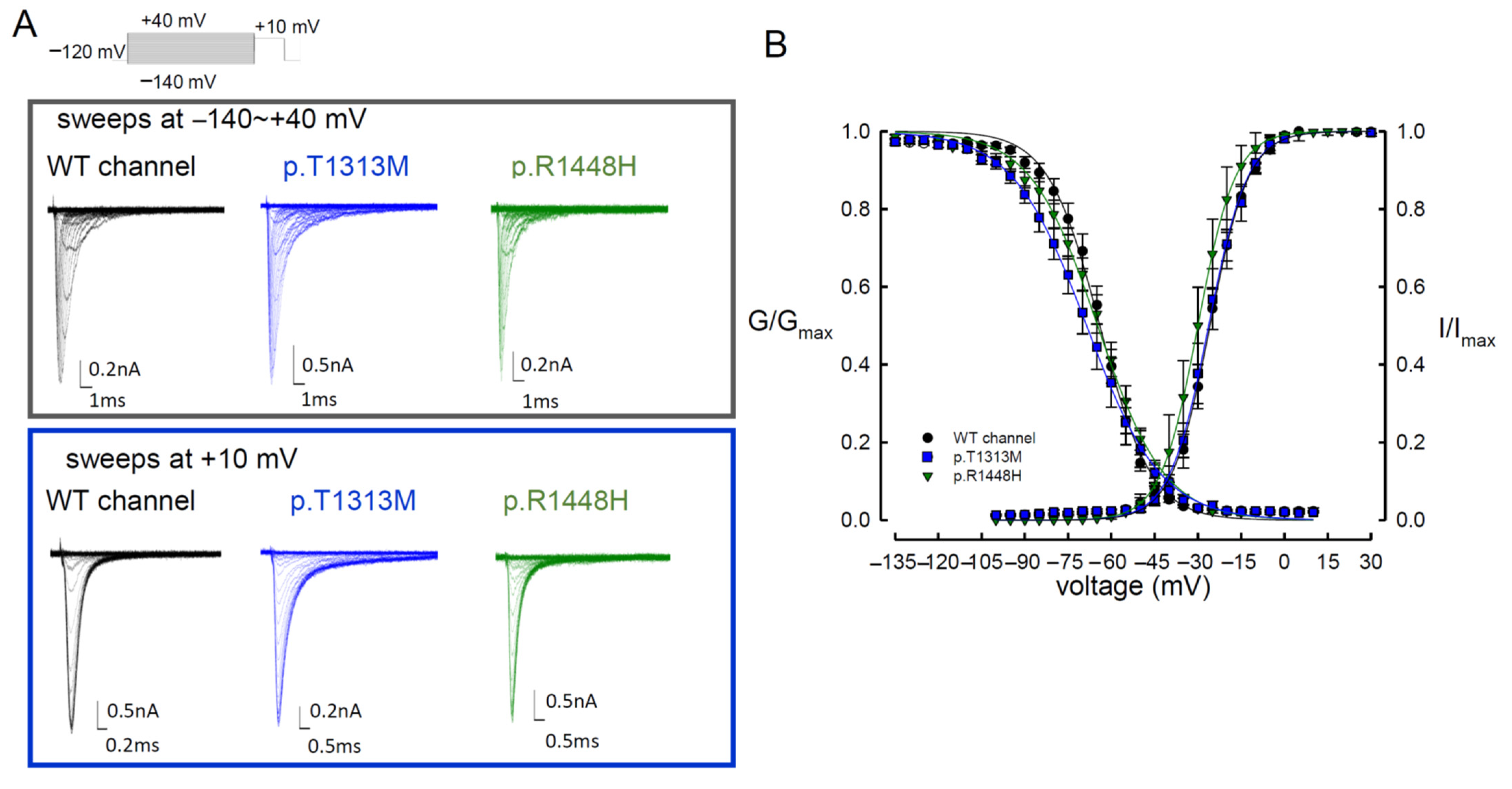 Biomedicines 09 00051 g001
