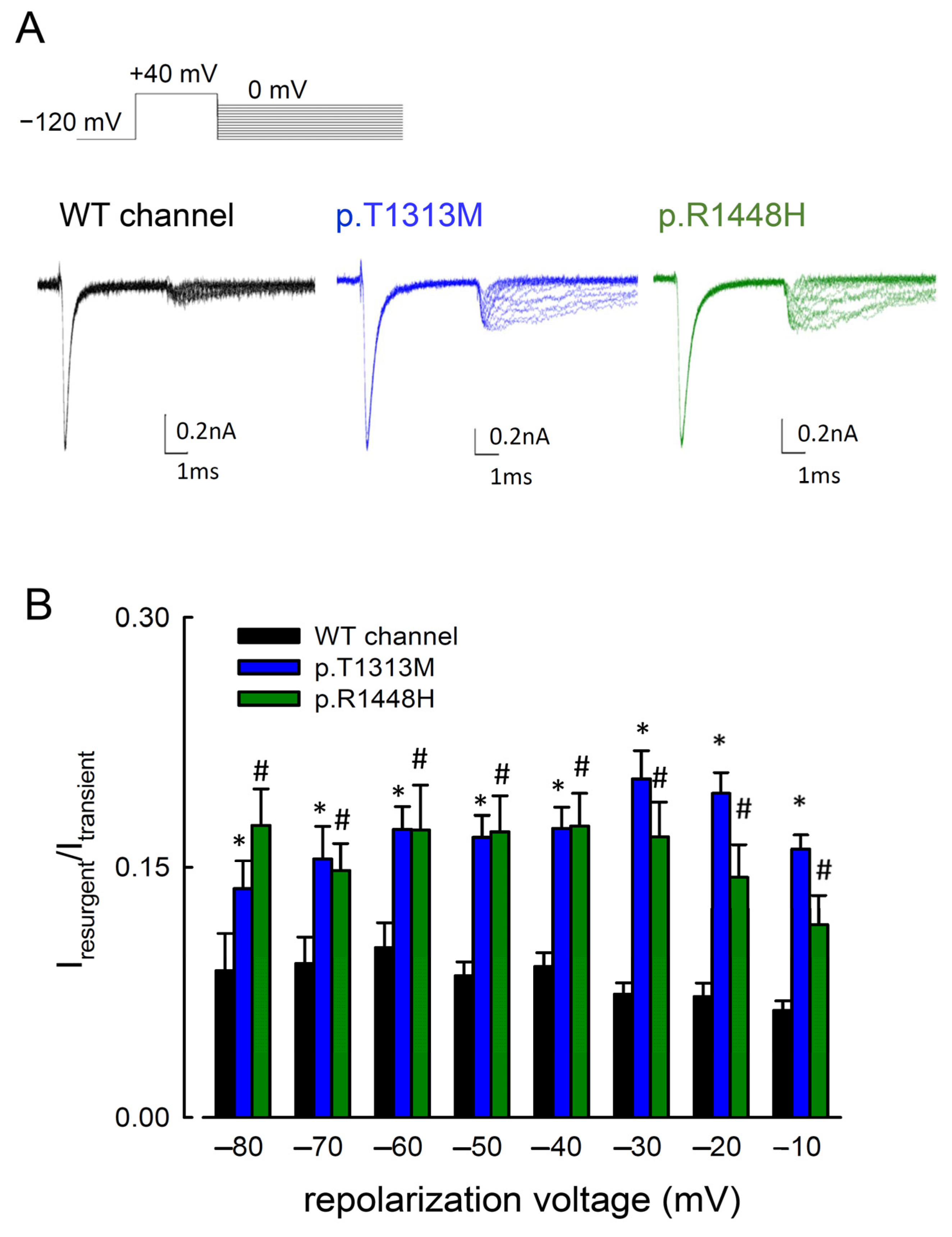 Biomedicines 09 00051 g003