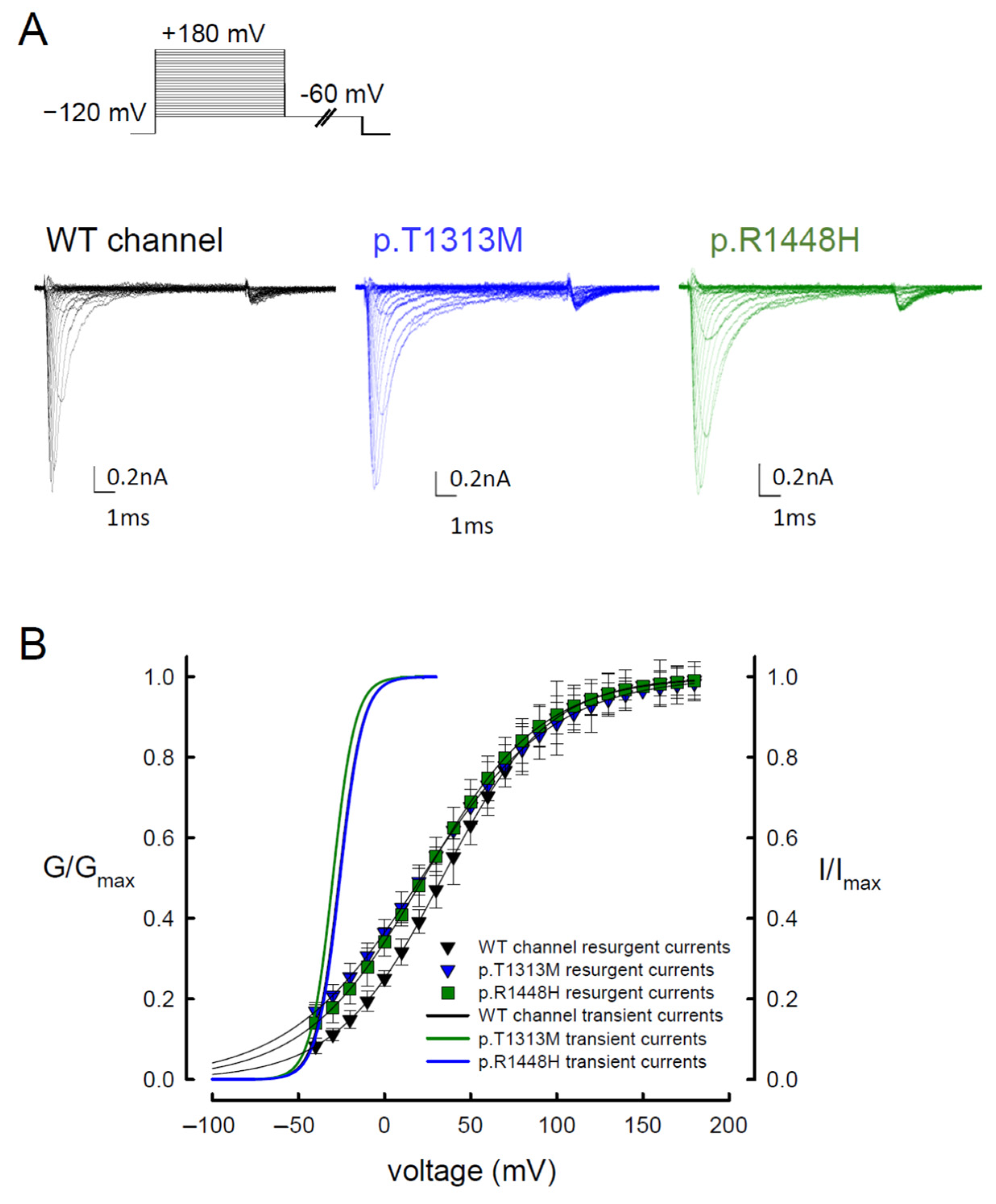 Biomedicines 09 00051 g004