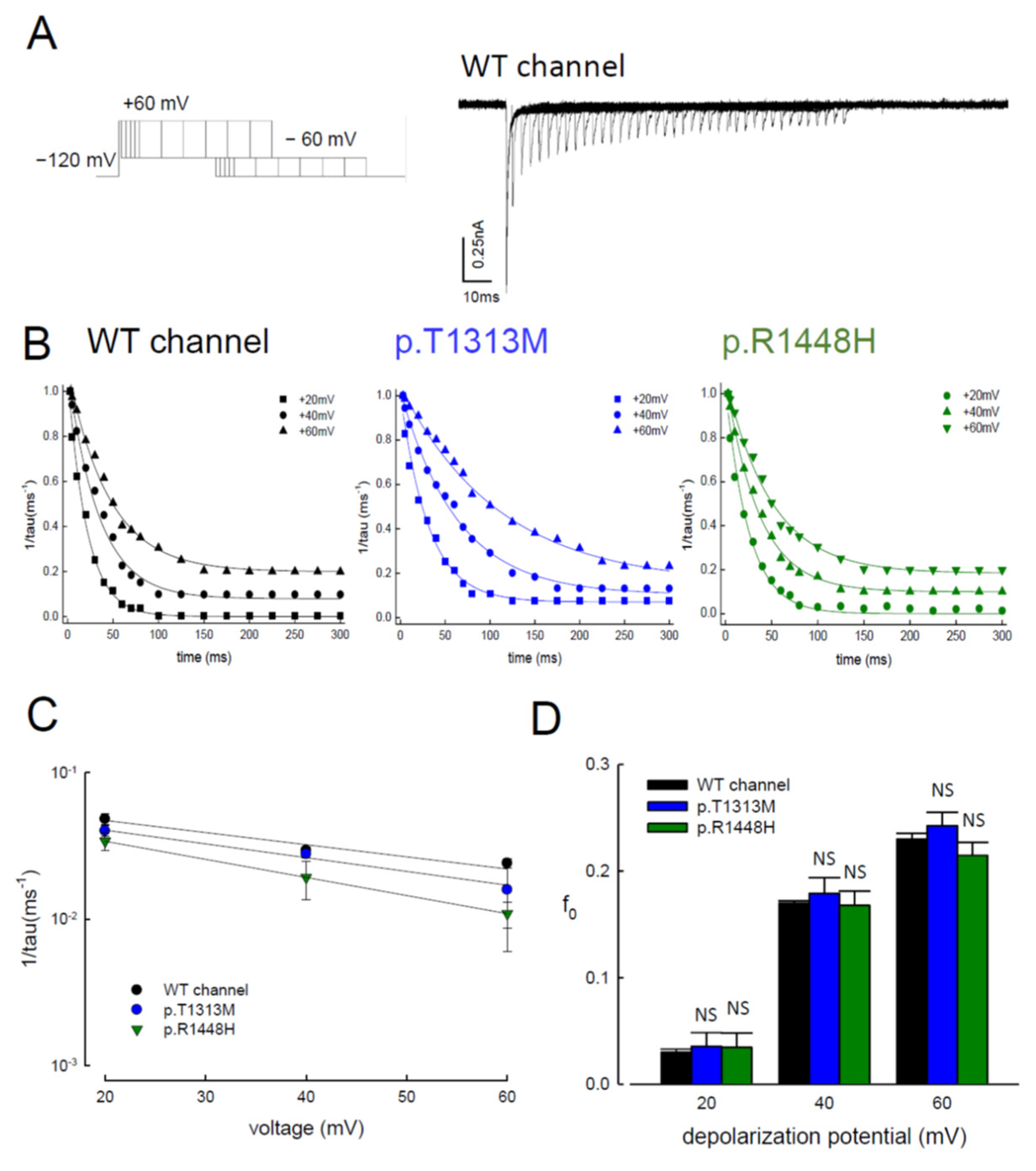 Biomedicines 09 00051 g007