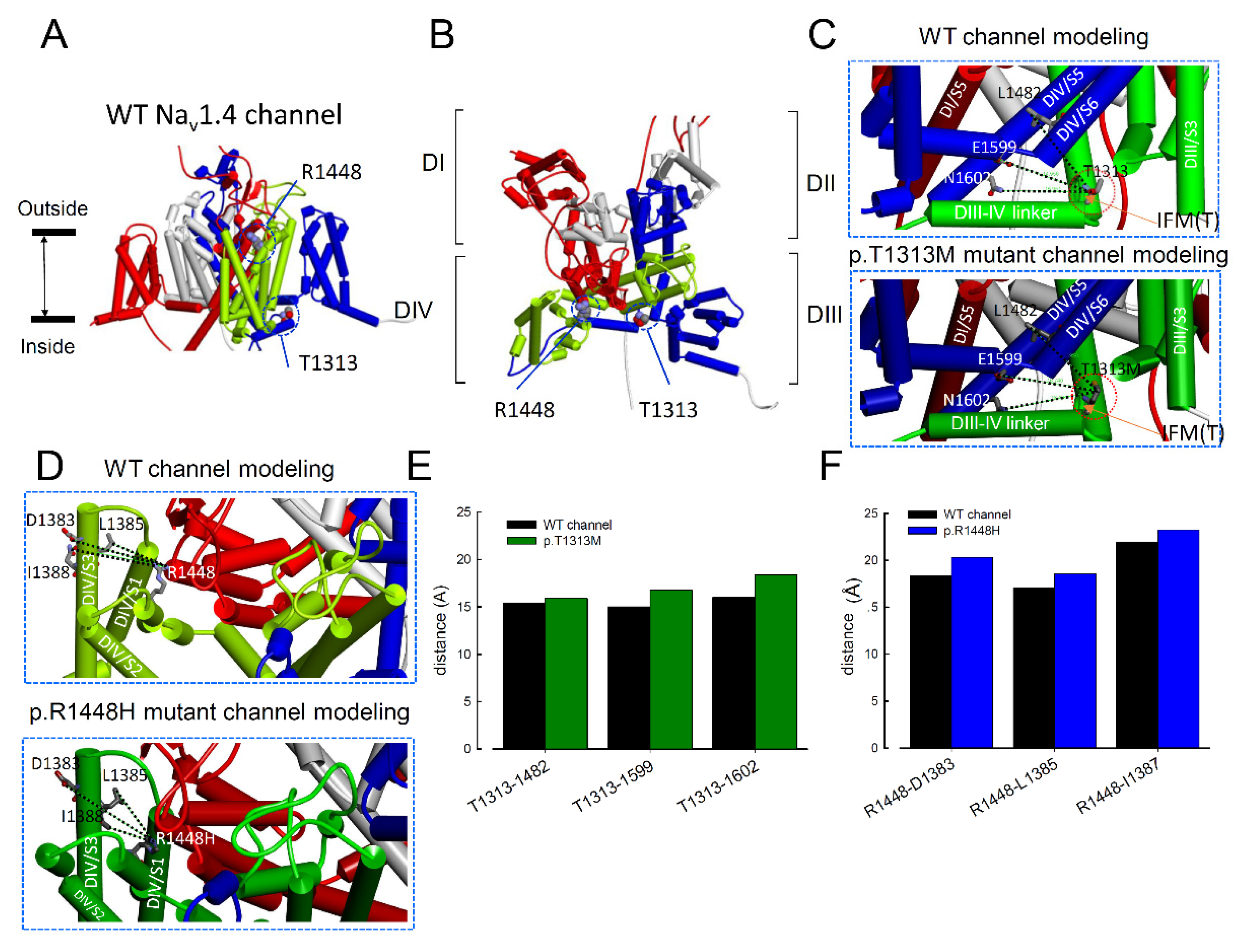 Biomedicines 09 00051 g008