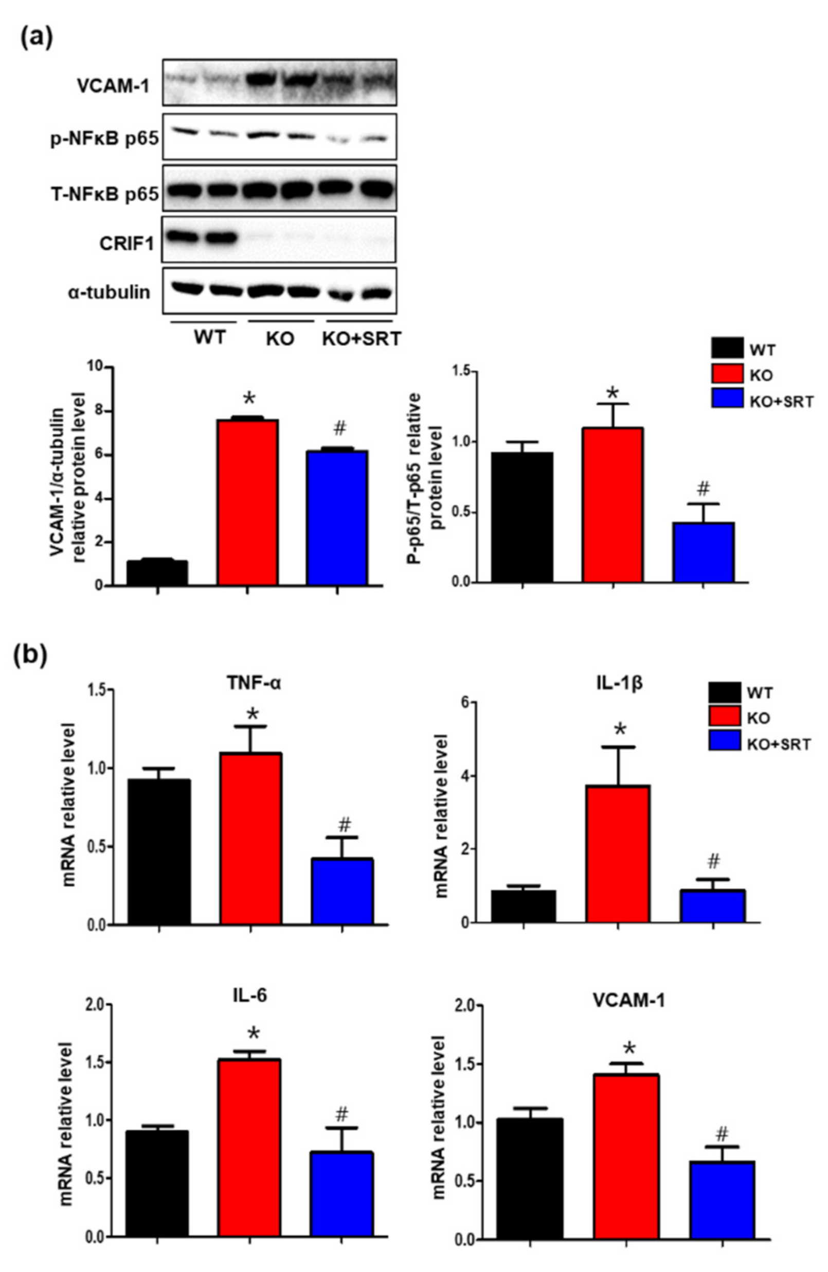 Biomedicines 09 00052 g008 Biomedicines 09 00052 g008