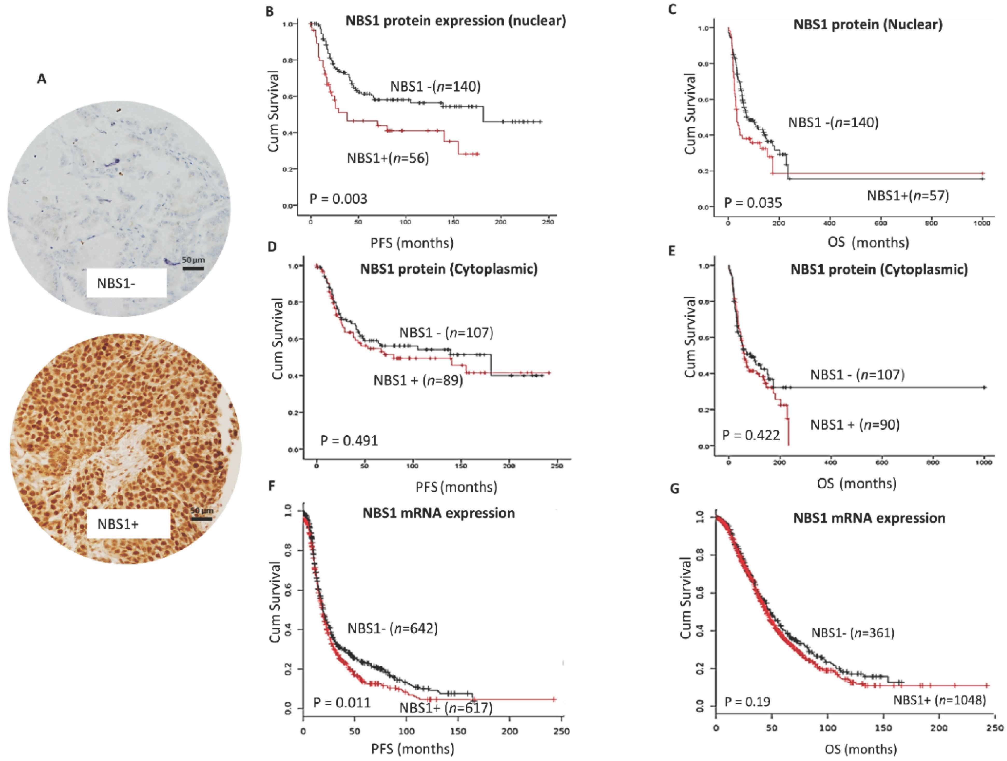 Biomedicines 09 00056 g001 Biomedicines 09 00056 g001