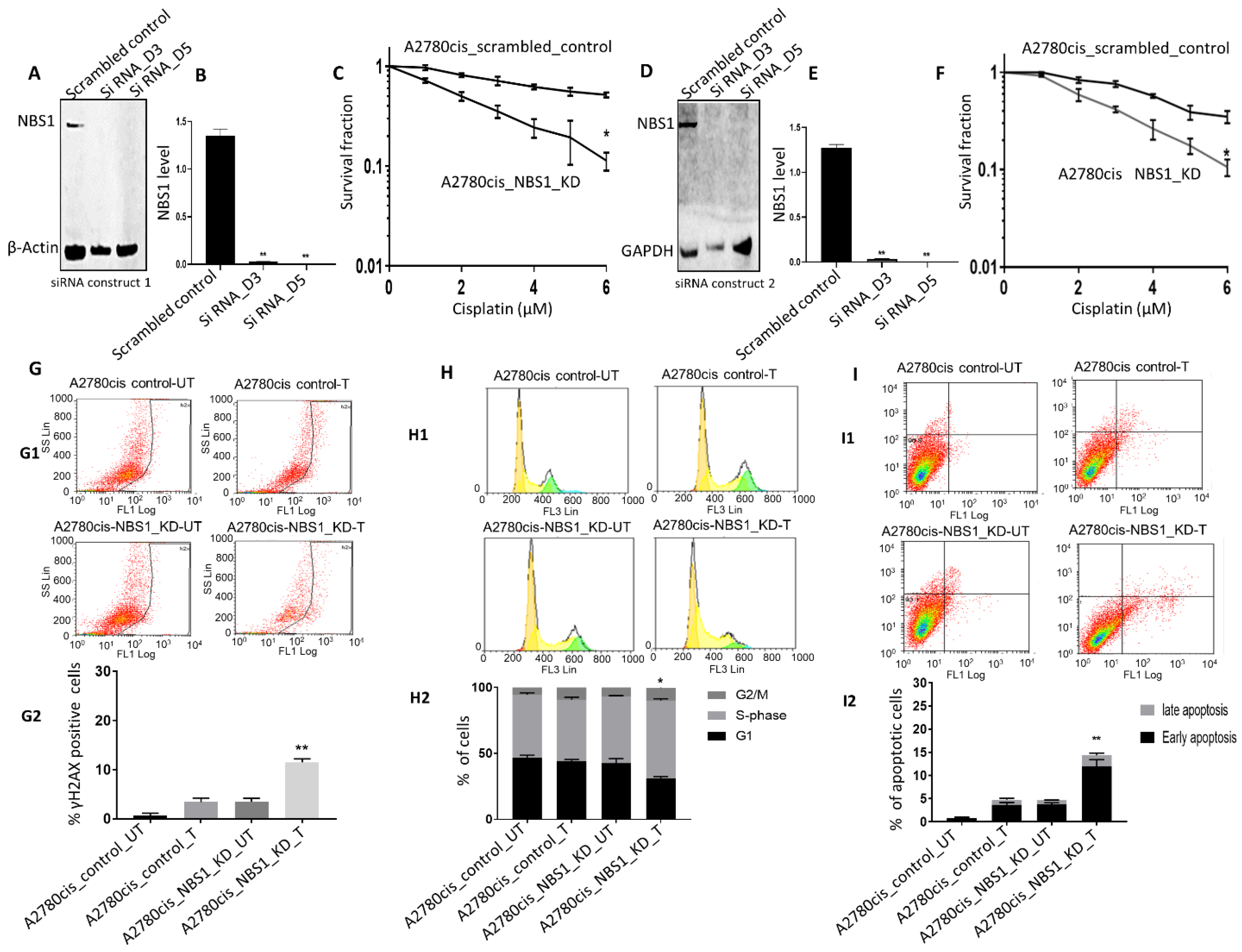 Biomedicines 09 00056 g003 Biomedicines 09 00056 g003