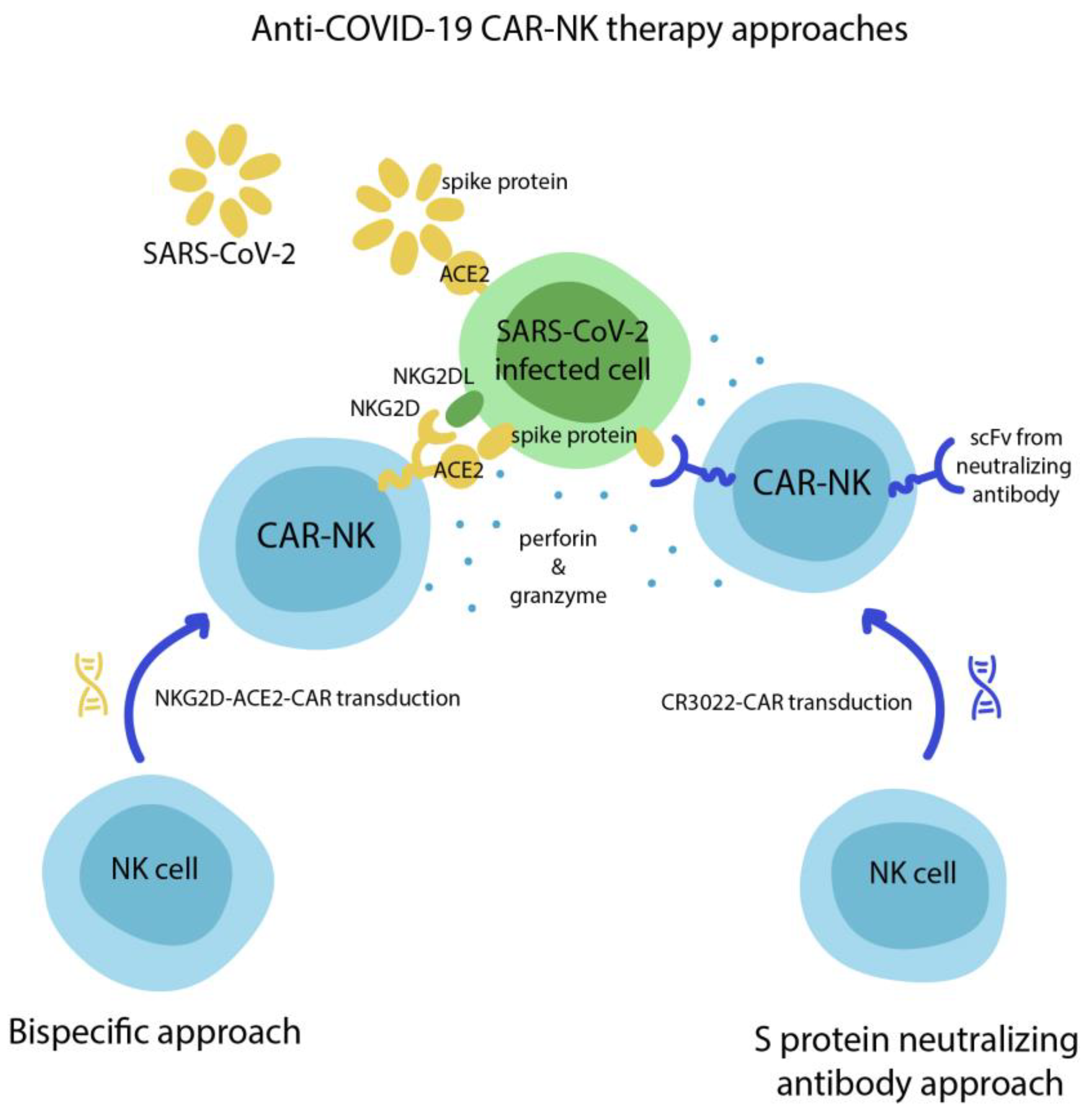 Biomedicines 09 00059 g003 Biomedicines 09 00059 g003