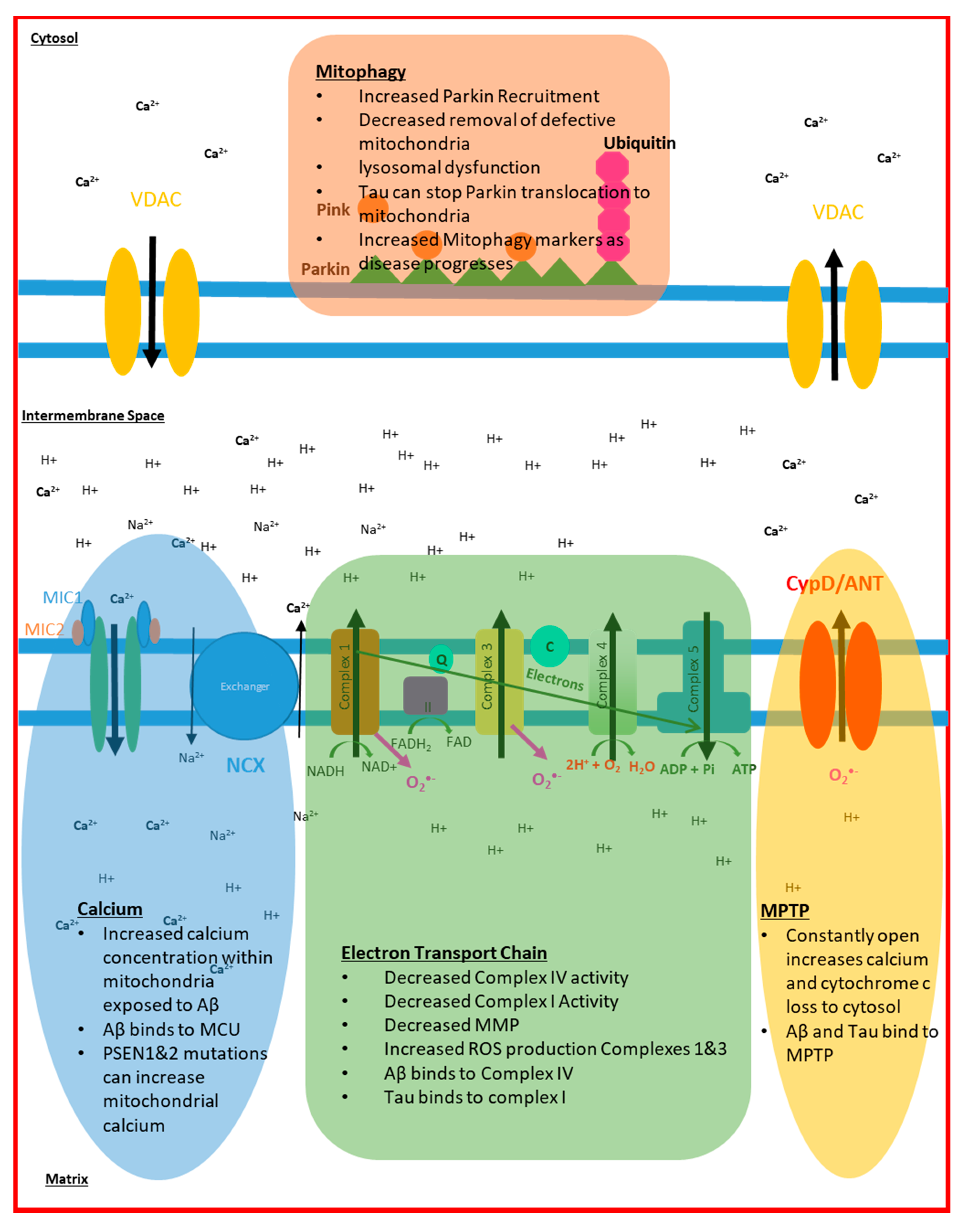 Biomedicines 09 00063 g002