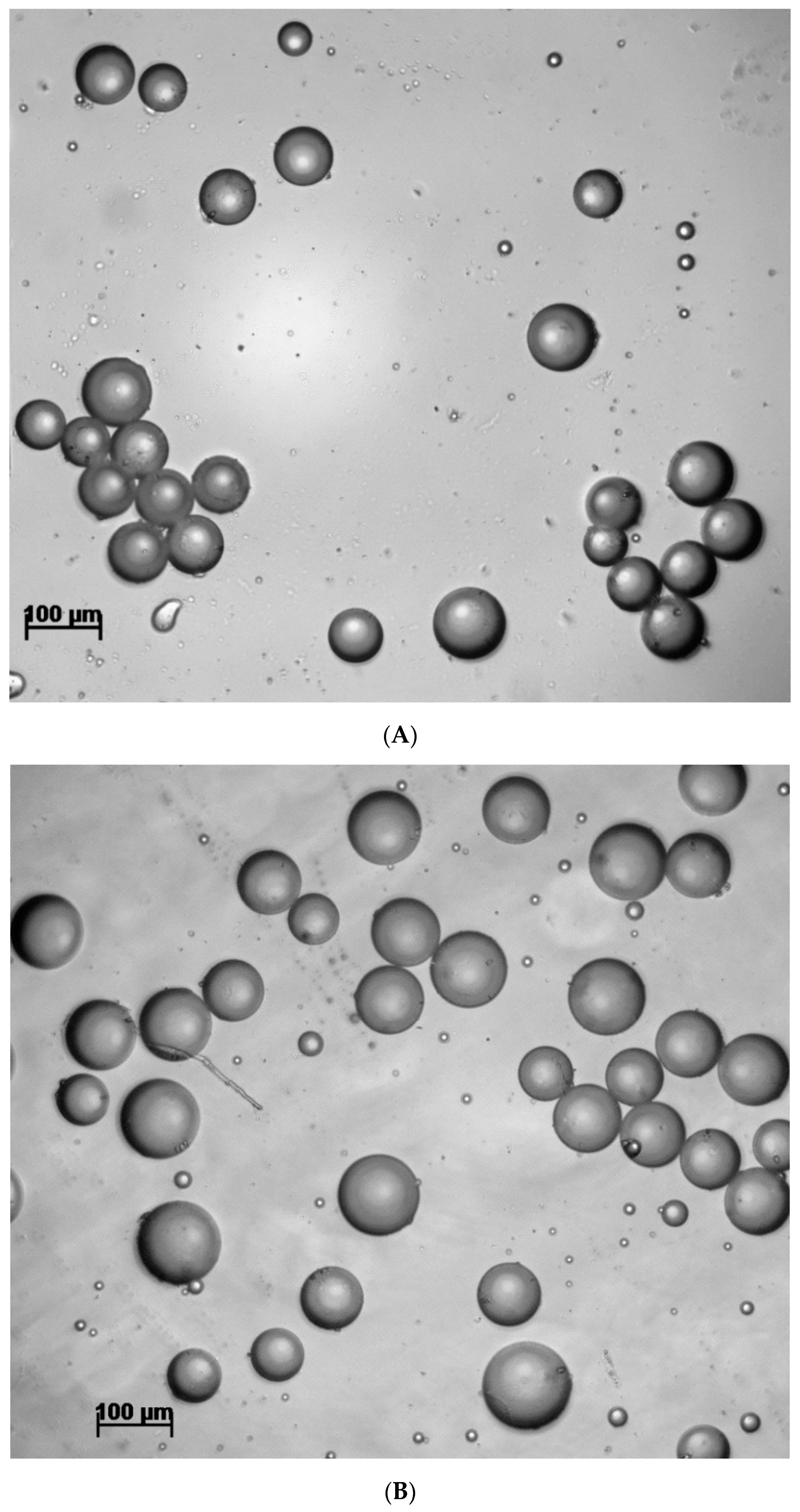 Biomedicines 09 00064 g002