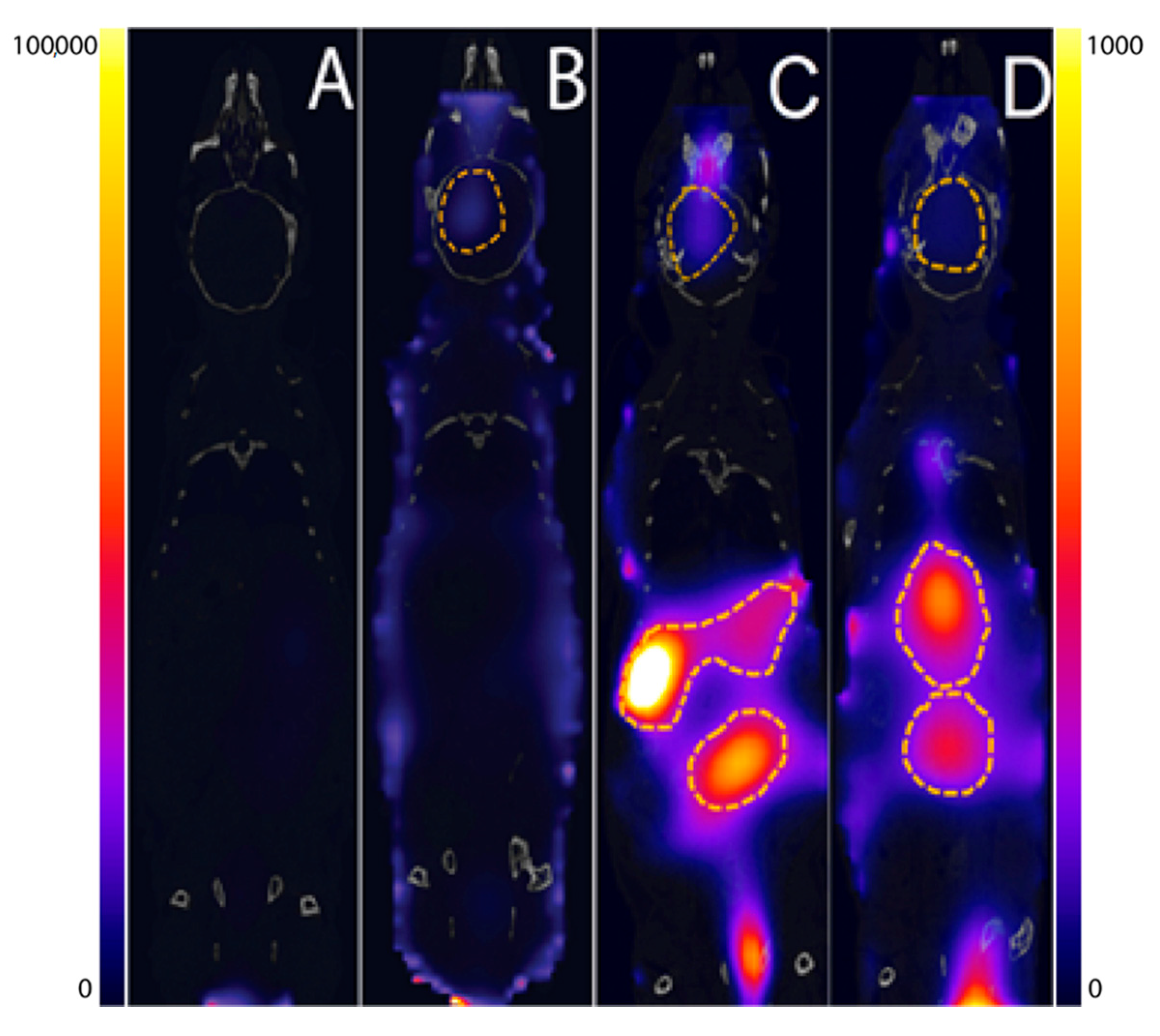 Biomedicines 09 00074 g004 Biomedicines 09 00074 g004