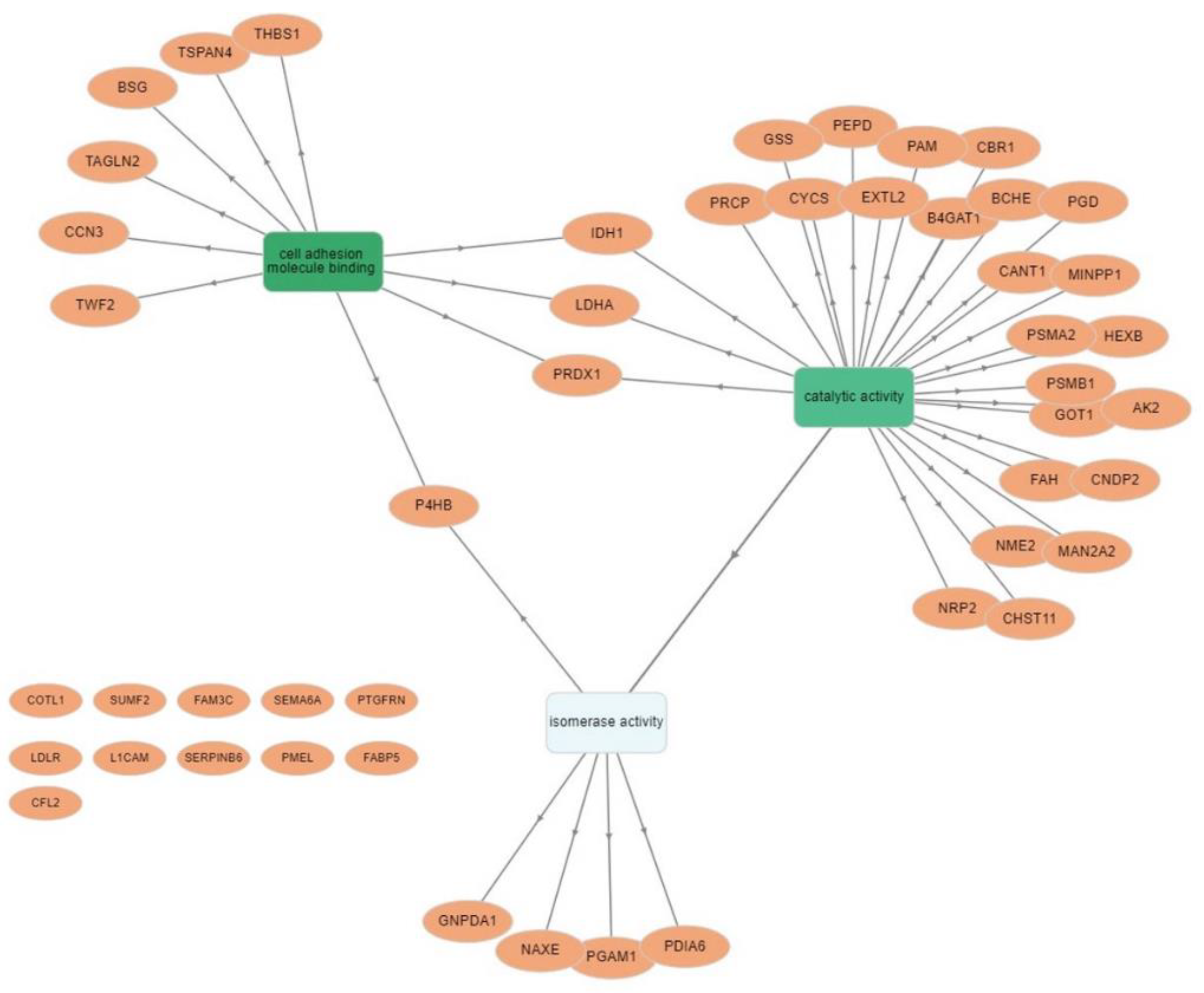 Biomedicines 09 00079 g004
