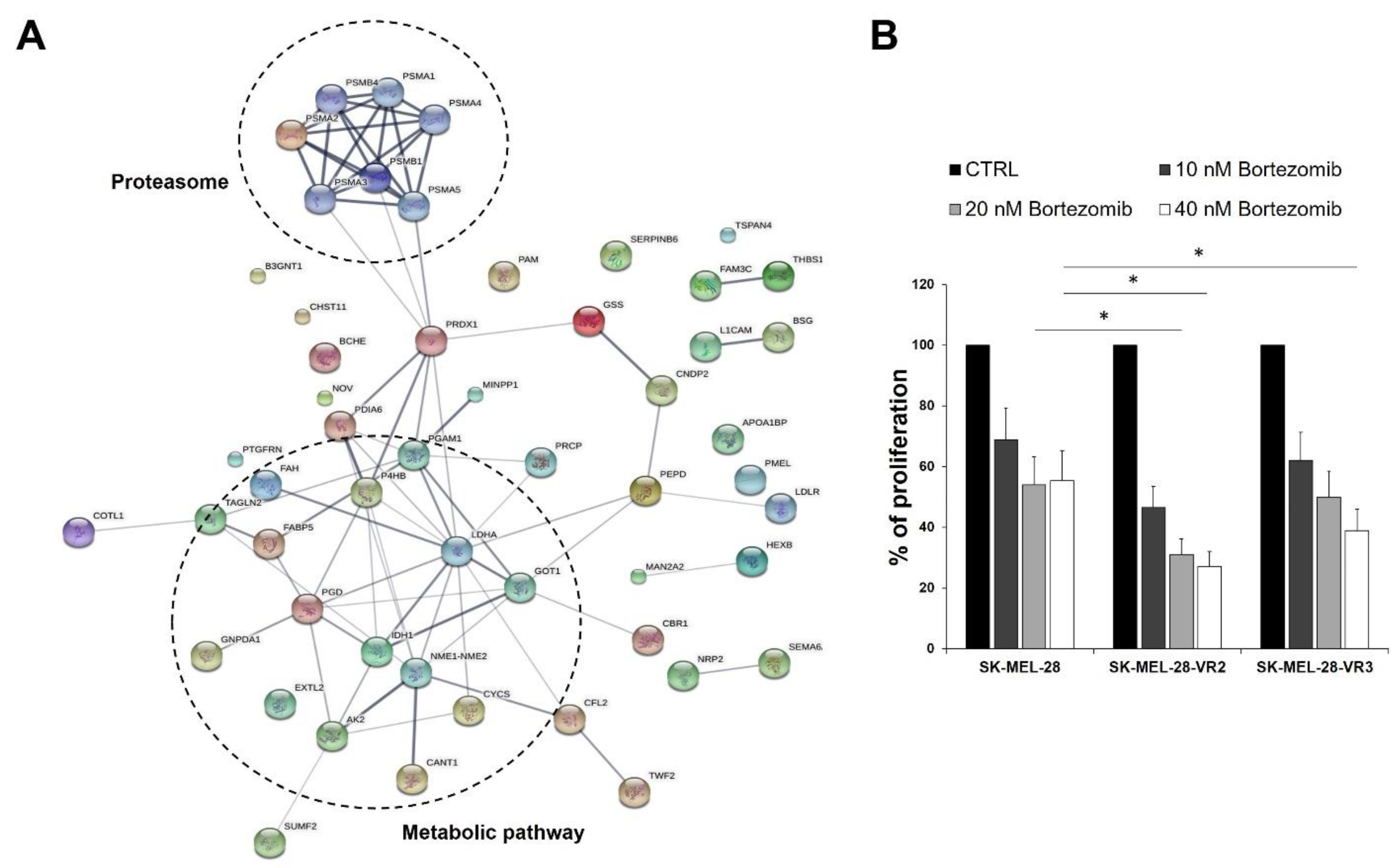 Biomedicines 09 00079 g005