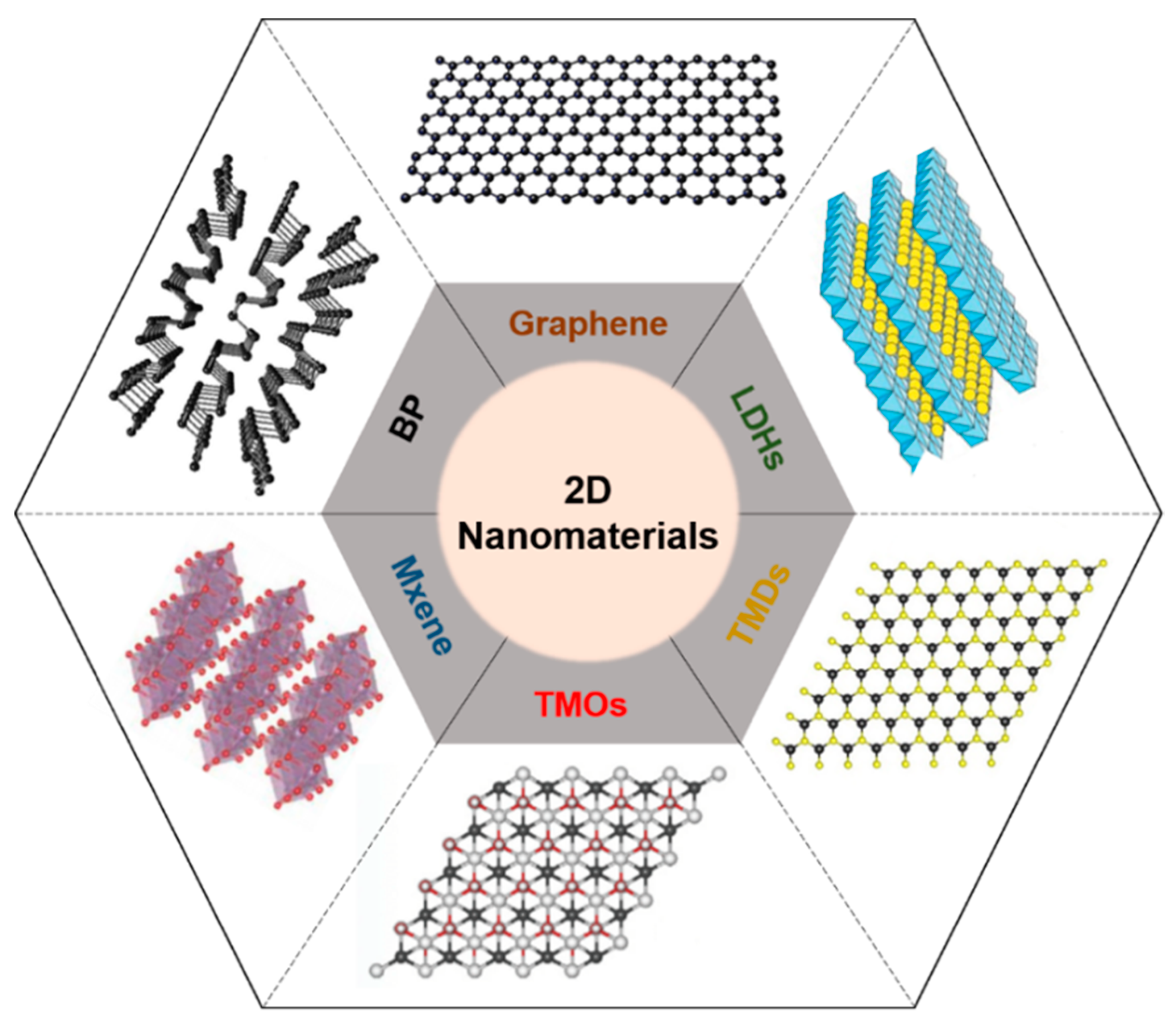 Biomedicines 09 00080 g001 Biomedicines 09 00080 g001