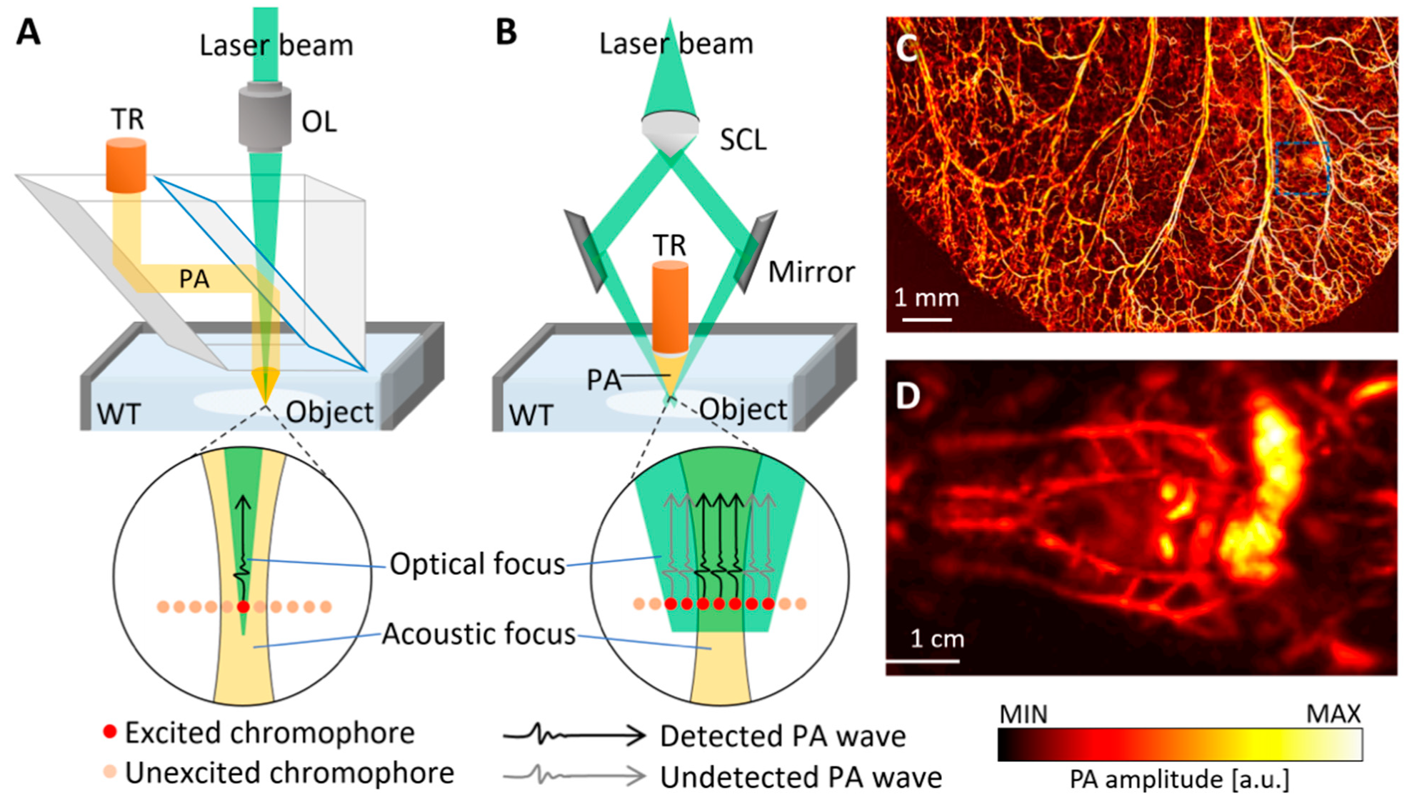 Biomedicines 09 00080 g003 Biomedicines 09 00080 g003
