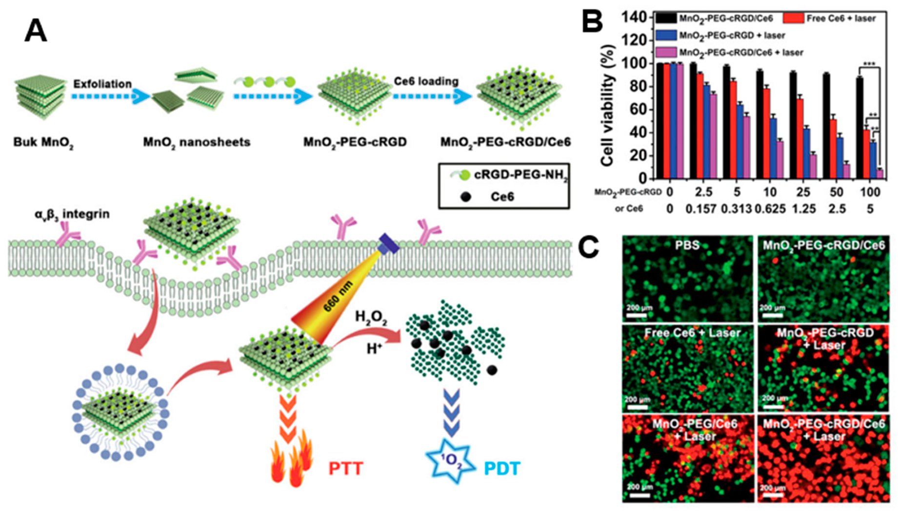 Biomedicines 09 00080 g005 Biomedicines 09 00080 g005