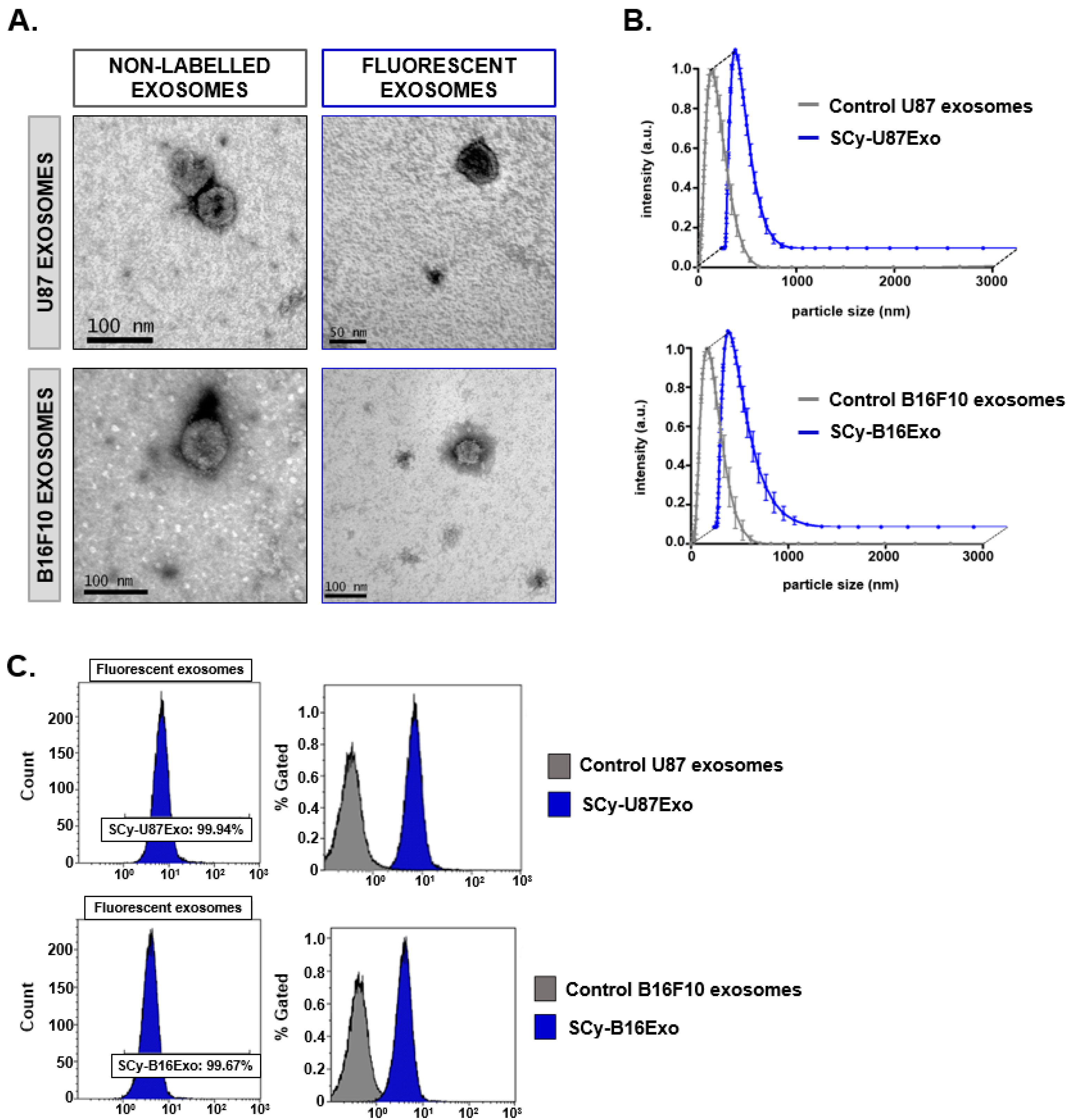 Biomedicines Free Full Text Covalently Labeled Fluorescent Exosomes For In Vitro And In Vivo Applications Html Biomedicines Free Full Text Covalently Labeled Fluorescent Exosomes For In Vitro And In Vivo Applications Html