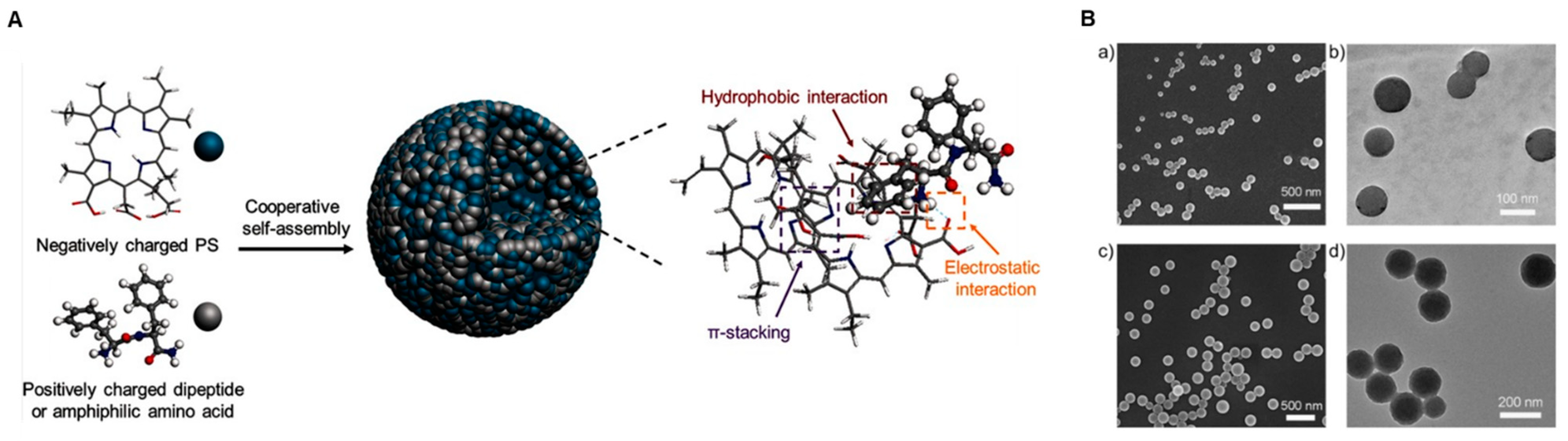 Biomedicines 09 00085 g002 Biomedicines 09 00085 g002