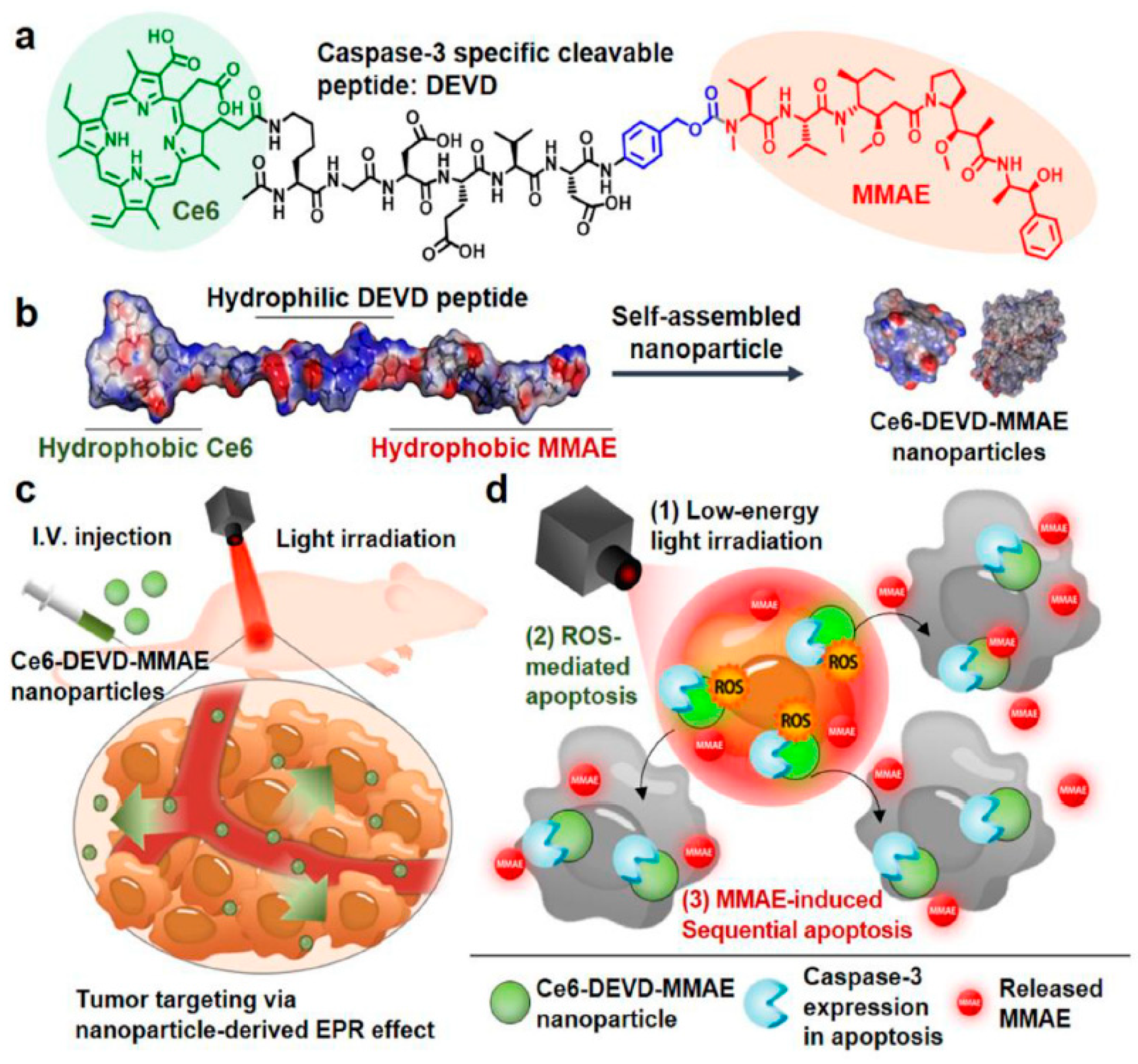 Biomedicines 09 00085 g004 Biomedicines 09 00085 g004