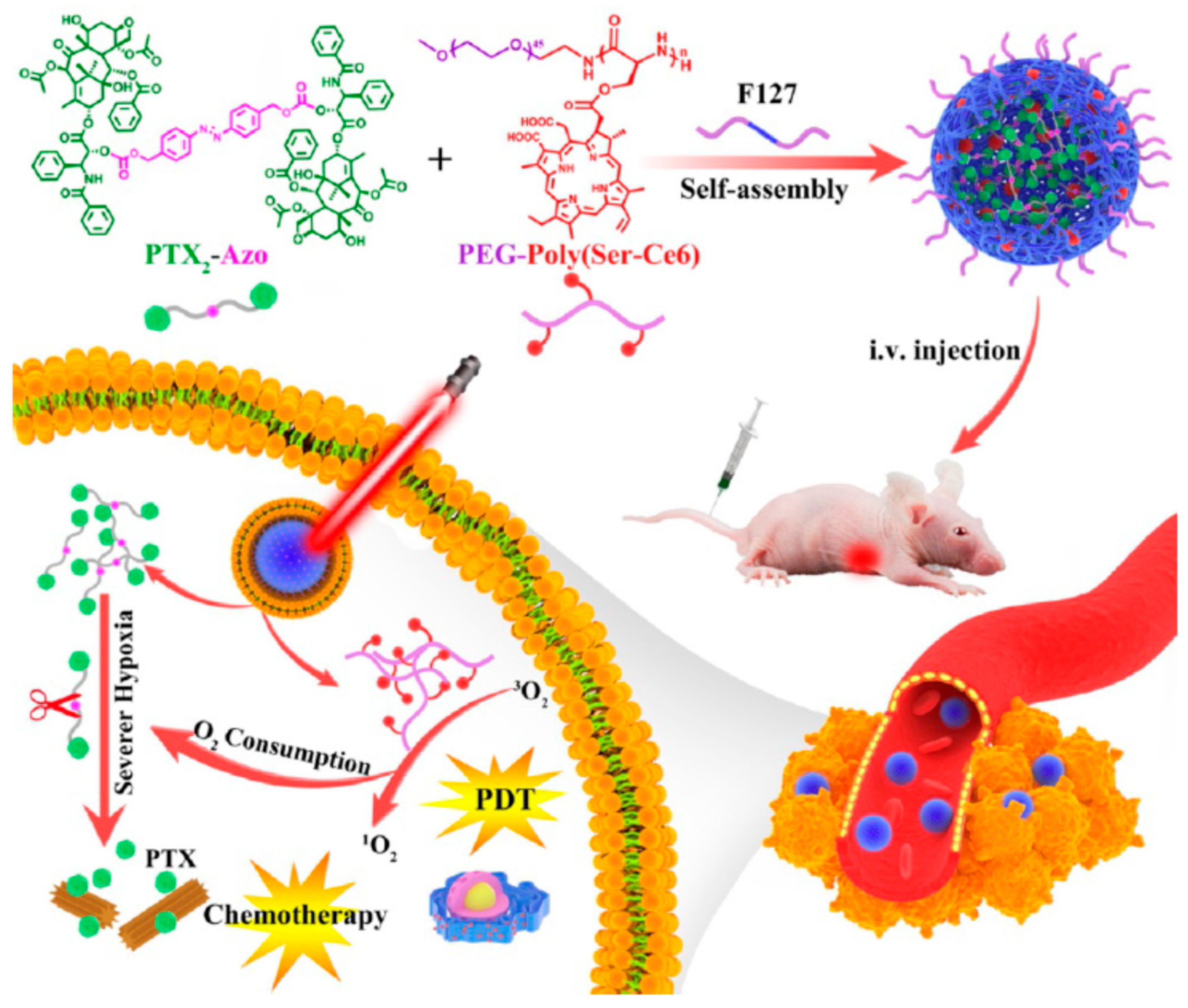Biomedicines 09 00085 g005 Biomedicines 09 00085 g005