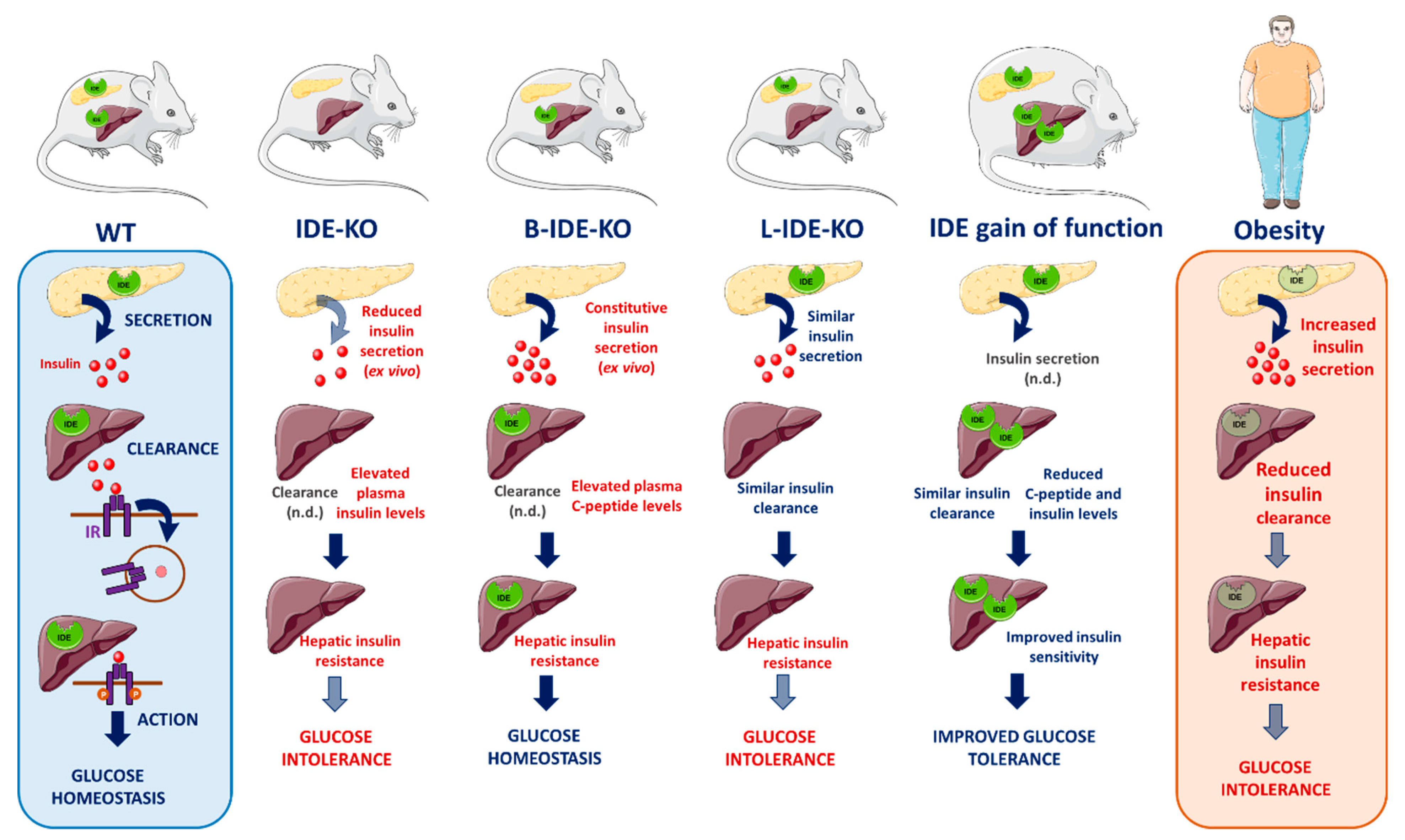 Biomedicines 09 00086 g003 Biomedicines 09 00086 g003
