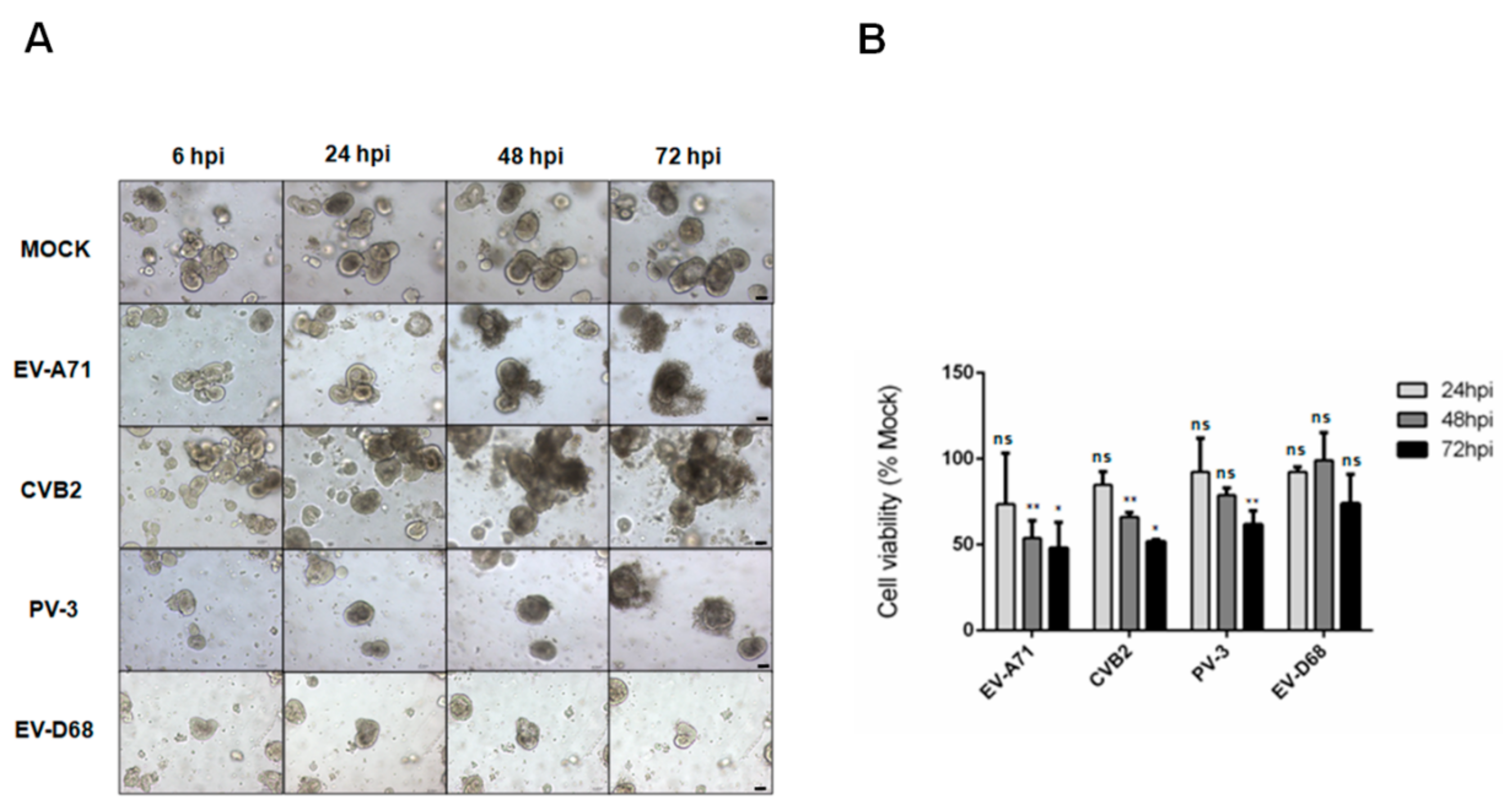 Biomedicines 09 00088 g001 Biomedicines 09 00088 g001