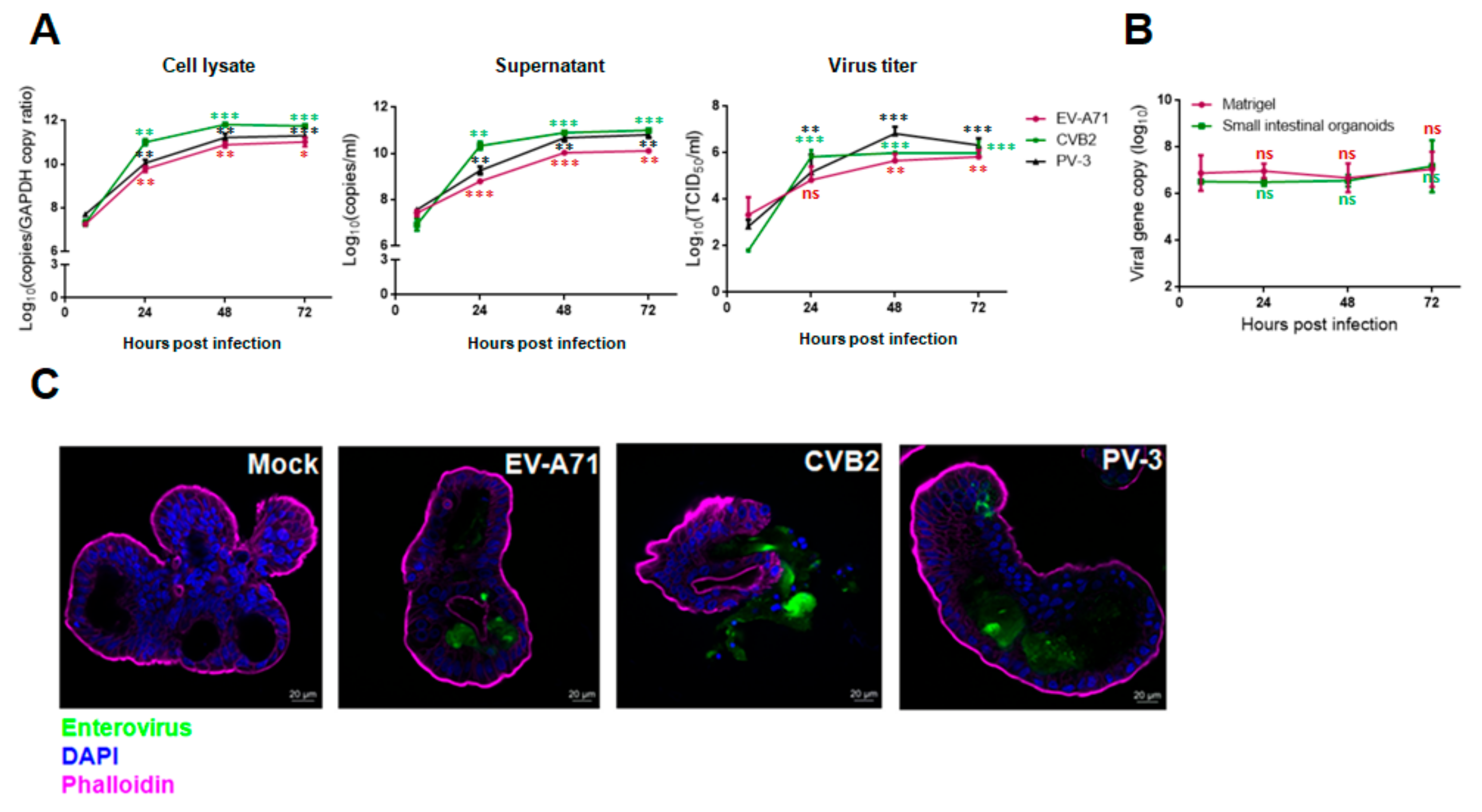 Biomedicines 09 00088 g002 Biomedicines 09 00088 g002