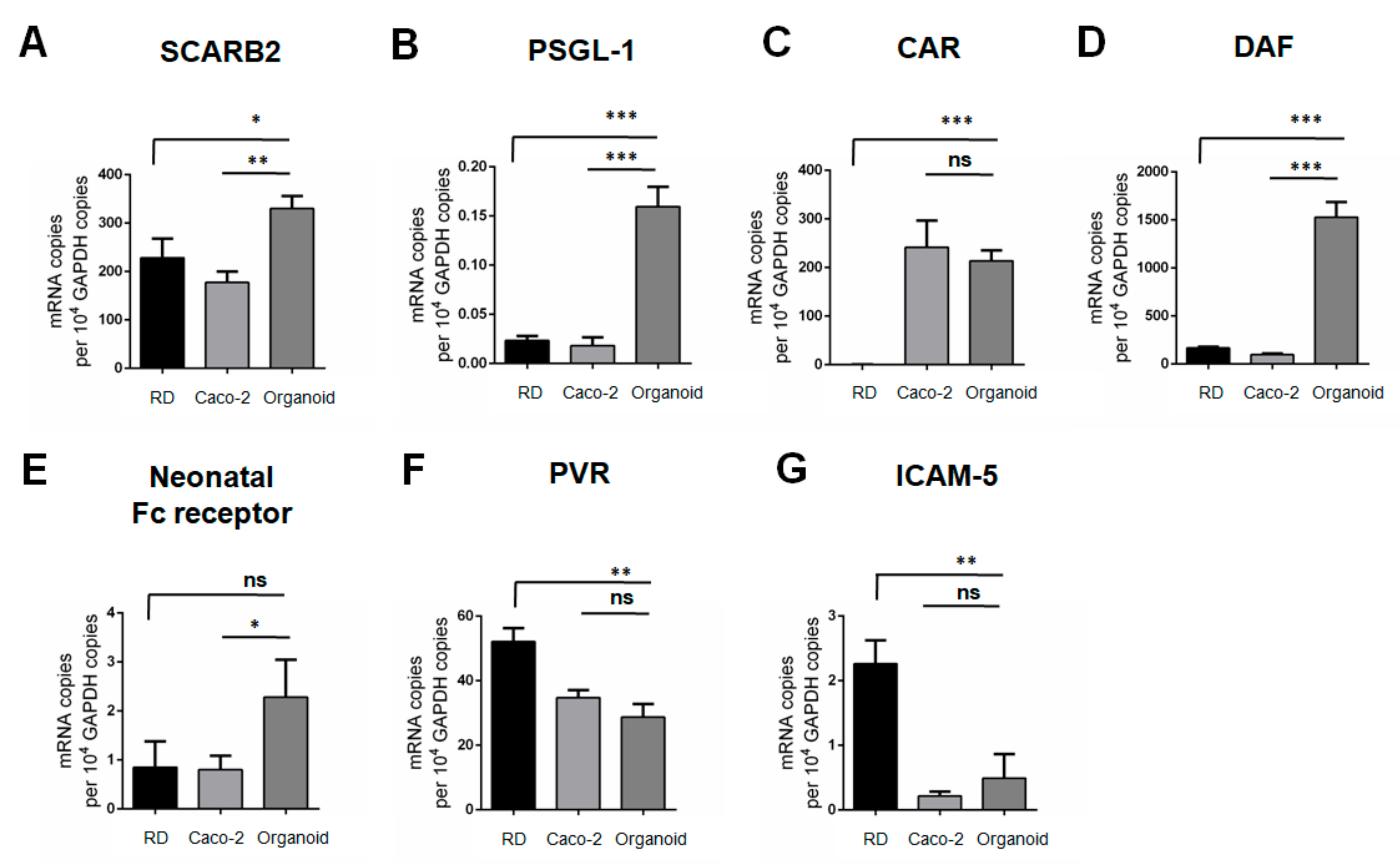 Biomedicines 09 00088 g003 Biomedicines 09 00088 g003