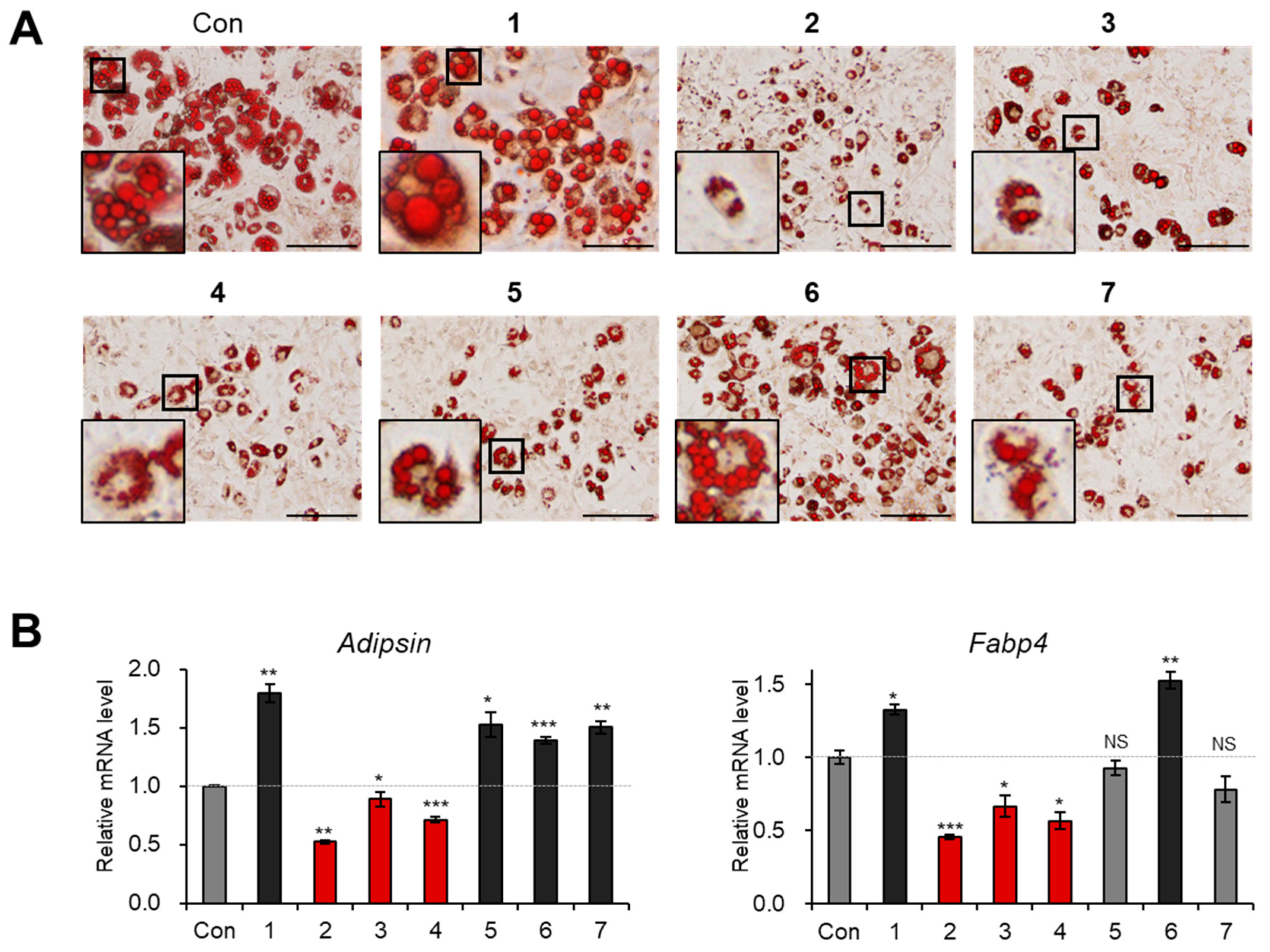 Biomedicines 09 00091 g005