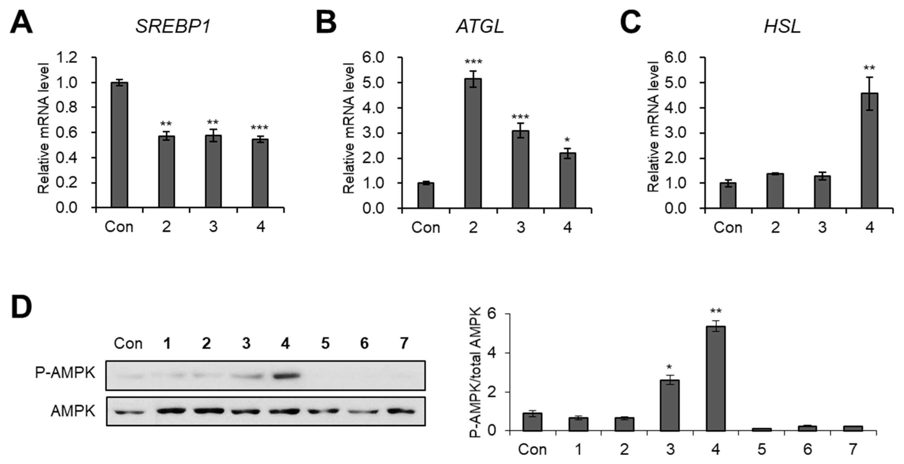Biomedicines 09 00091 g006