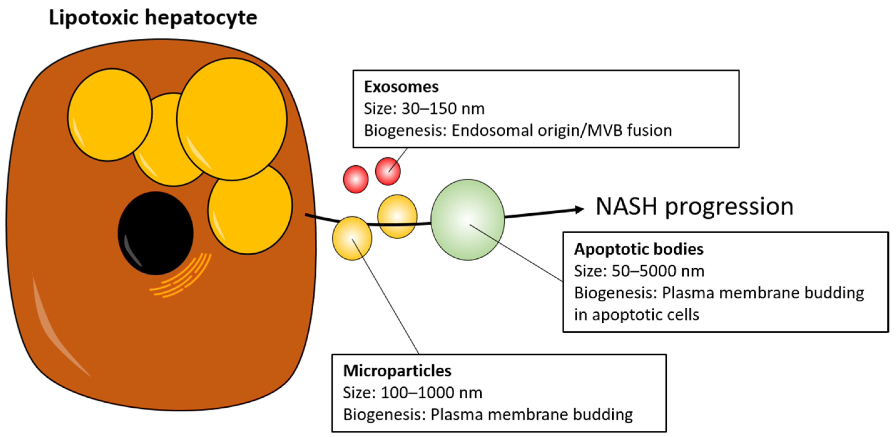 Biomedicines 09 00093 g001 Biomedicines 09 00093 g001