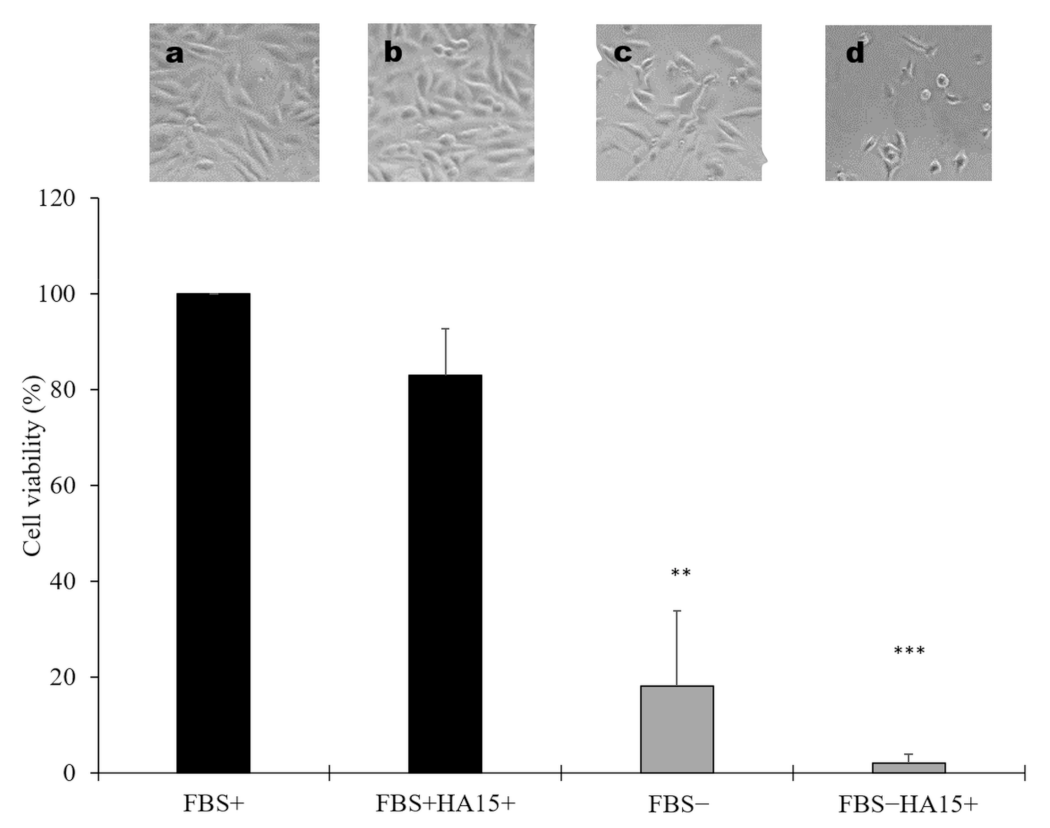 Biomedicines 09 00096 g007 Biomedicines 09 00096 g007