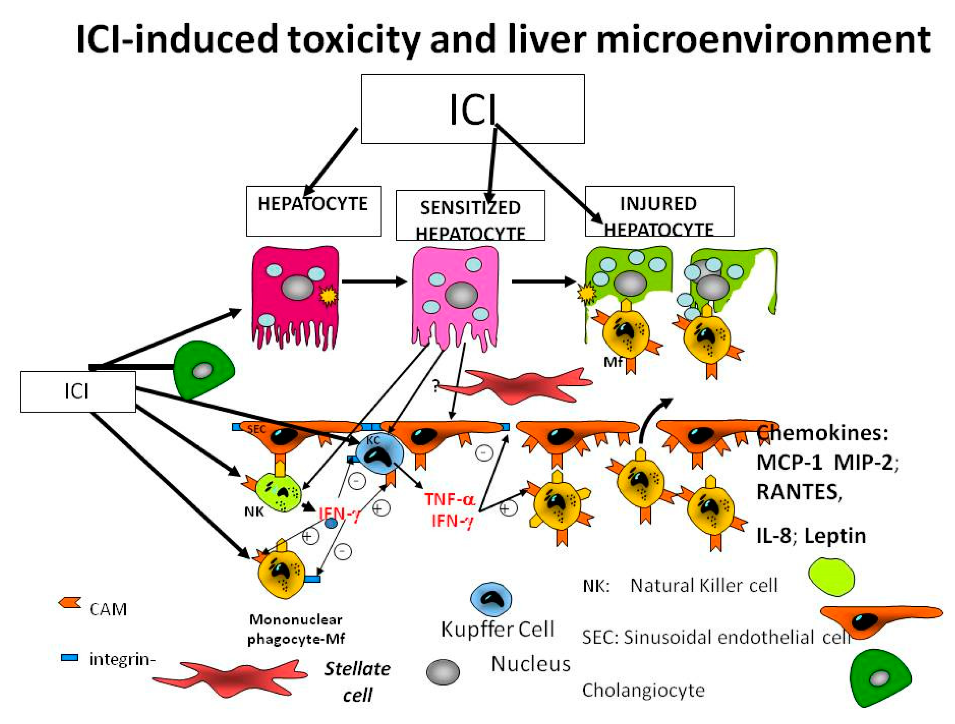 Biomedicines 09 00101 g001 Biomedicines 09 00101 g001