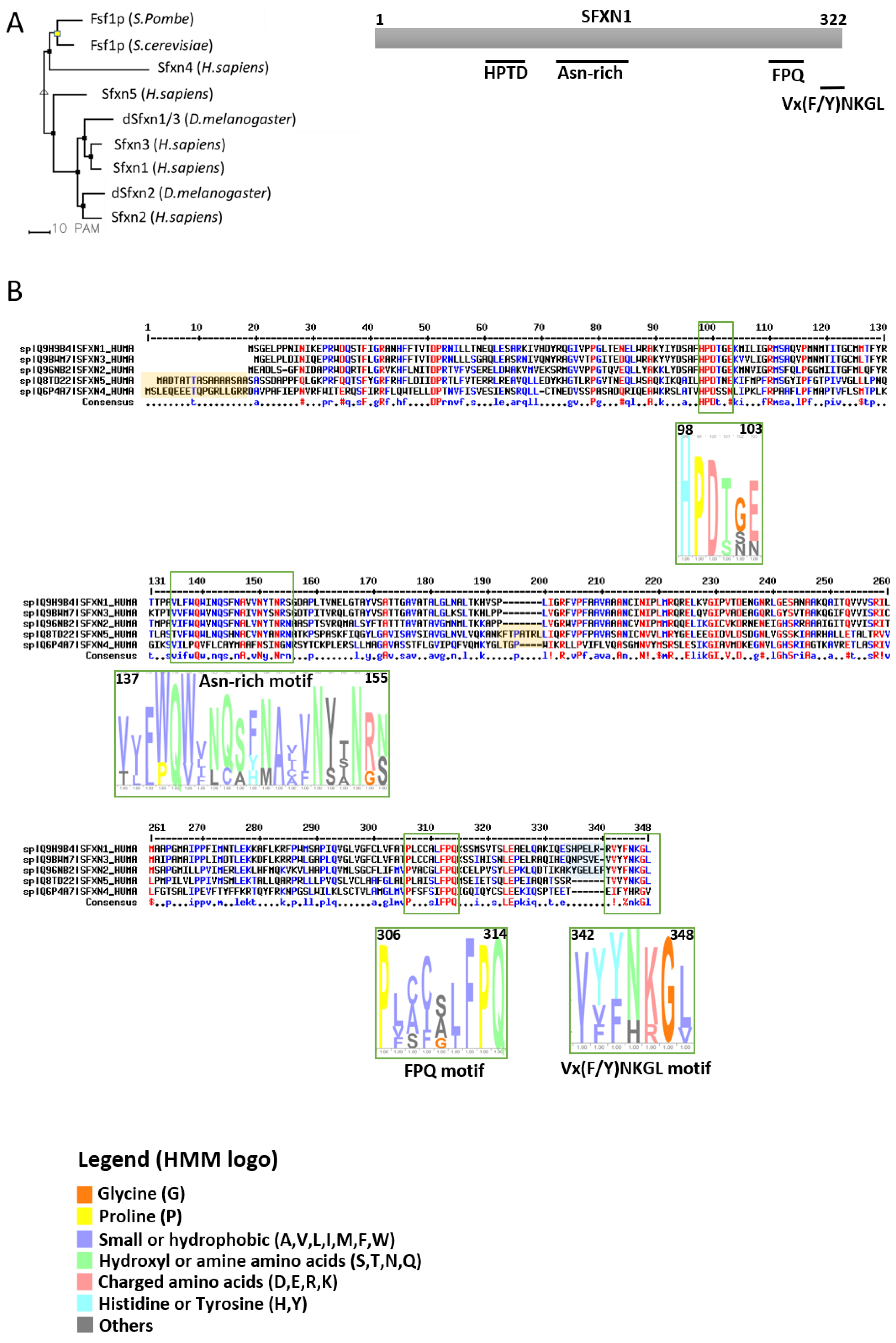 Biomedicines 09 00103 g001 Biomedicines 09 00103 g001